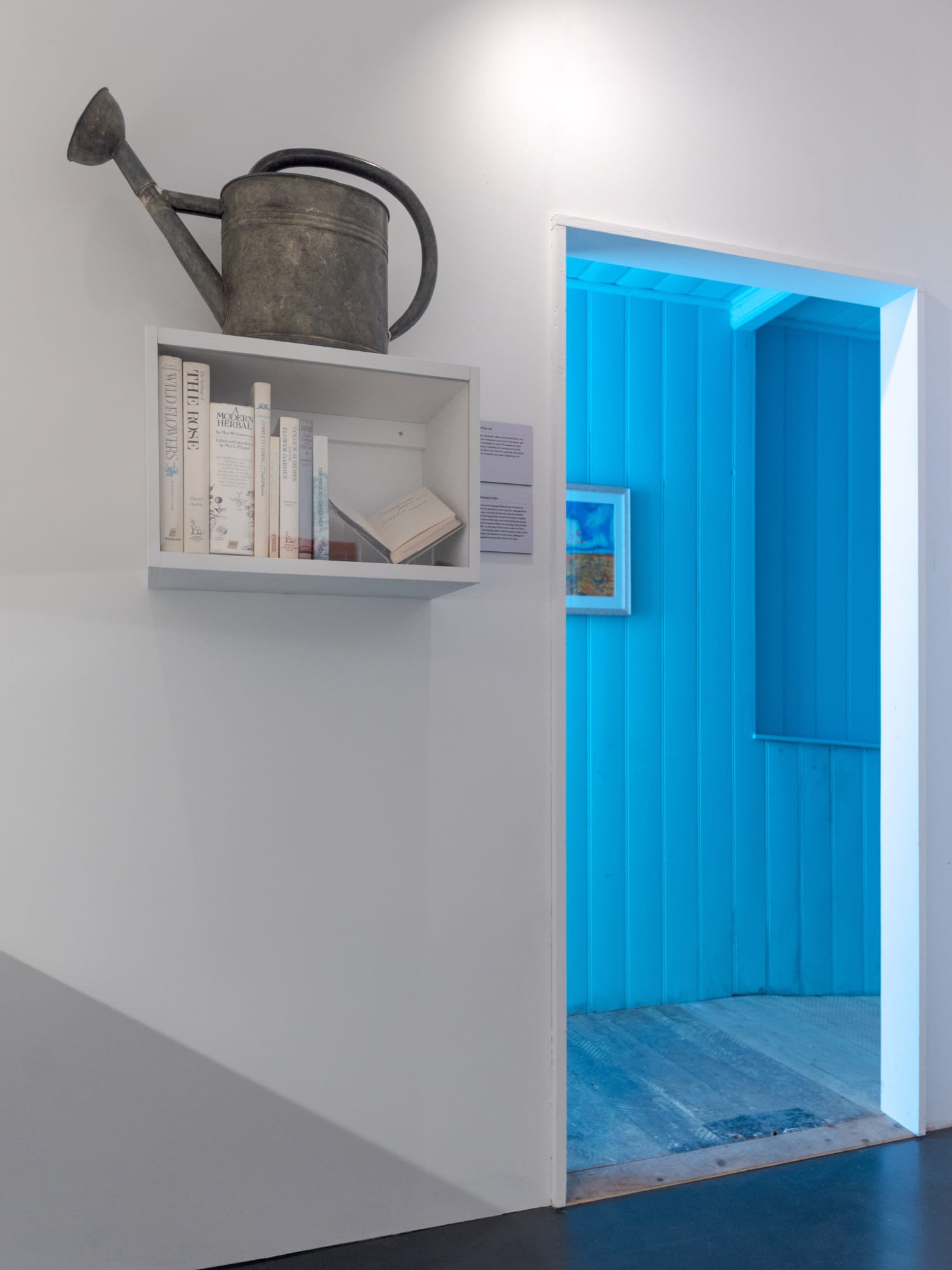 My garden’s boundaries are the horizon