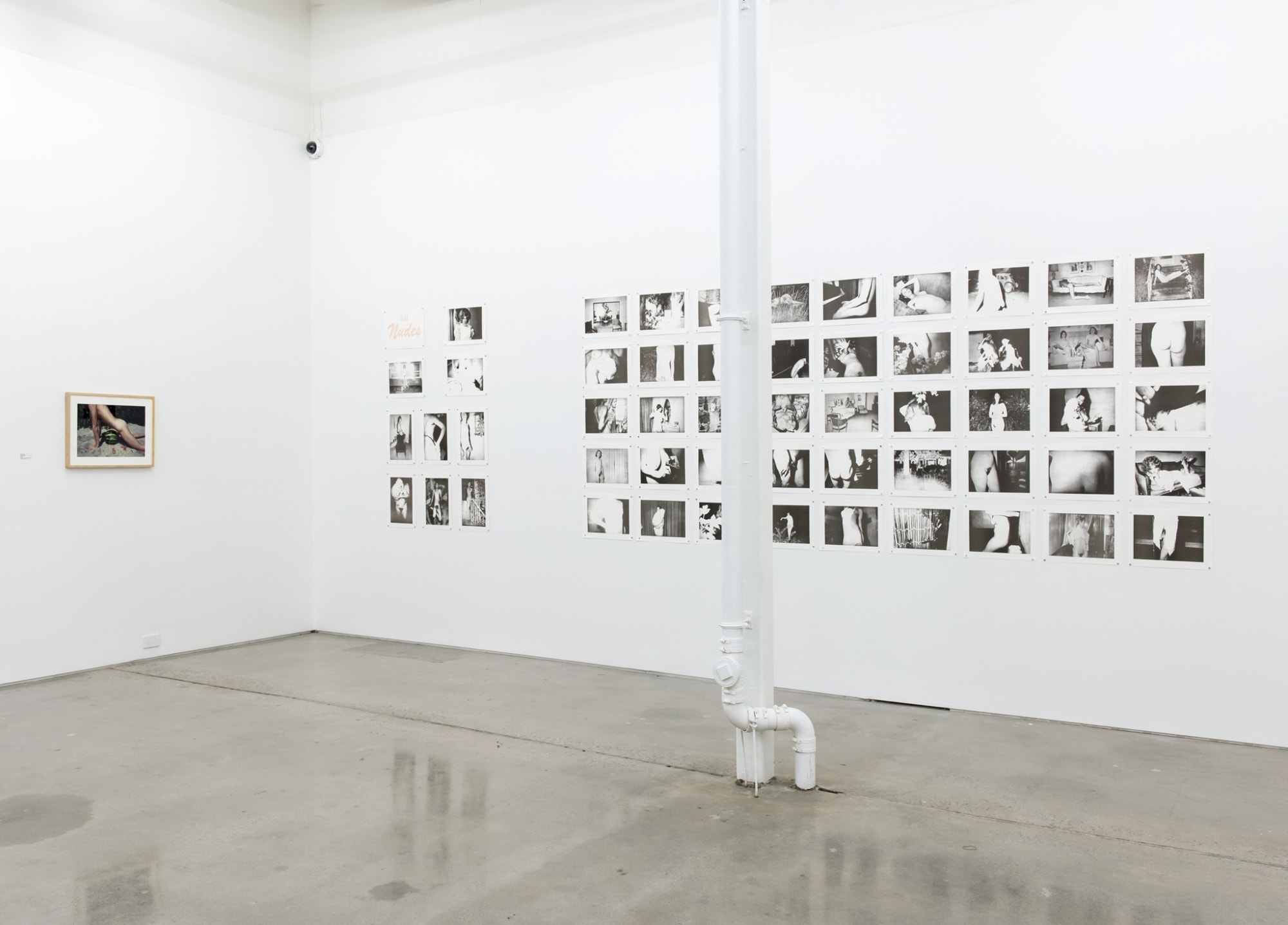 The Sodomite Invasion