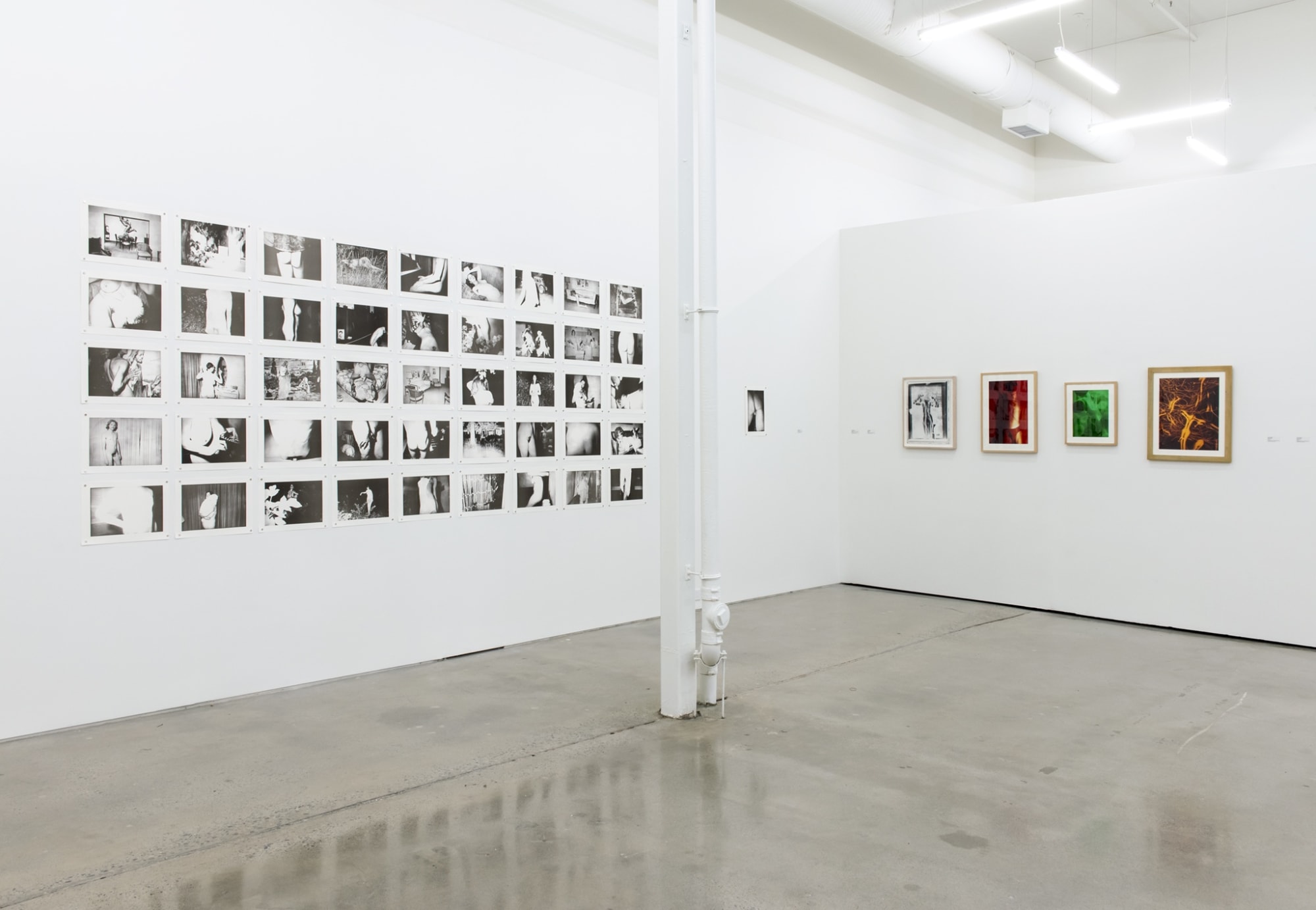 The Sodomite Invasion