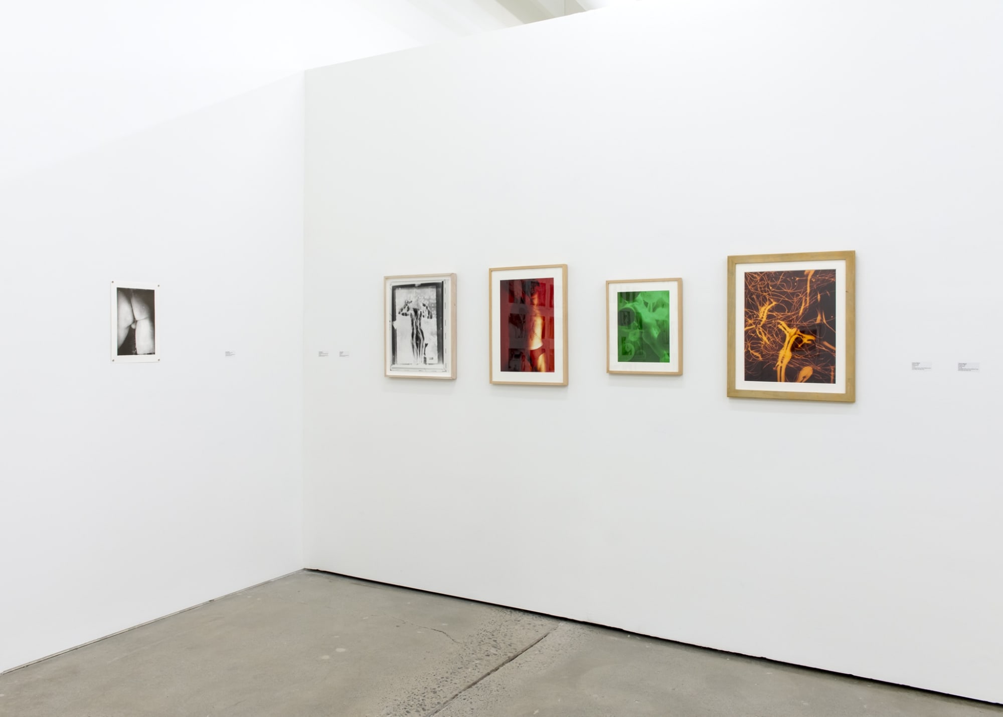 The Sodomite Invasion