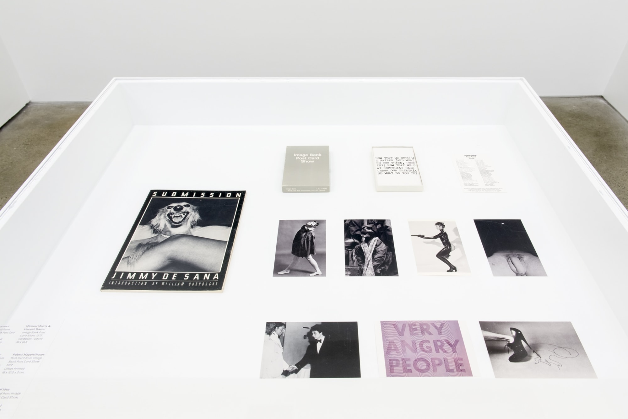 The Sodomite Invasion