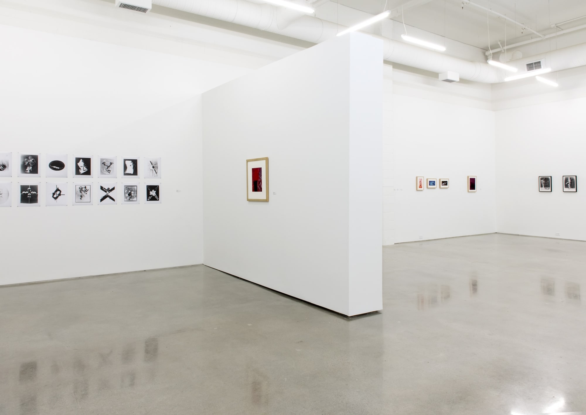 The Sodomite Invasion