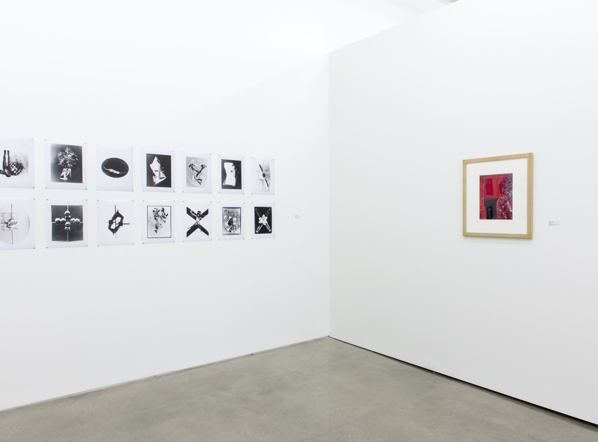 The Sodomite Invasion