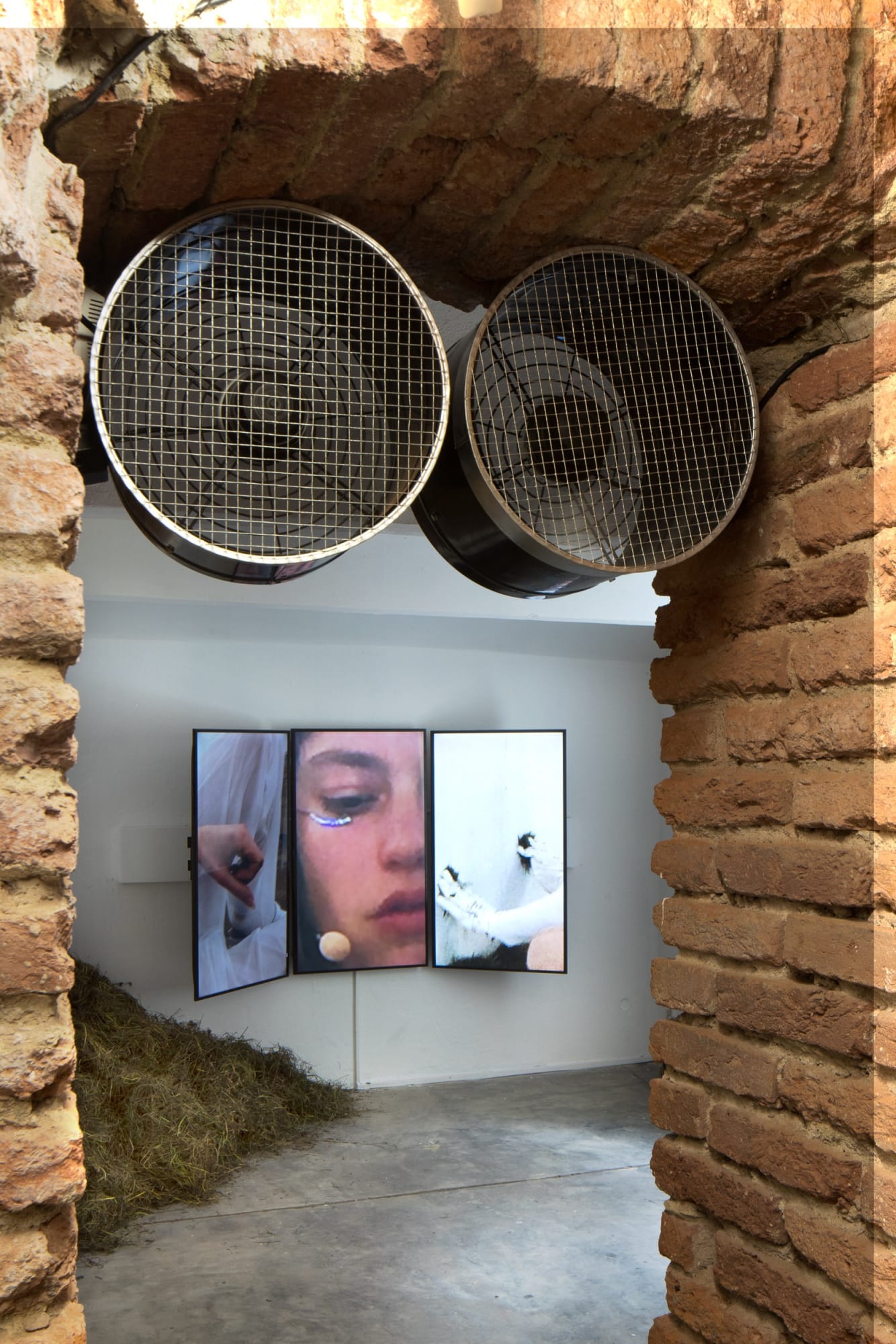 Sunk into it, part of it / it would be like hearing the grass grow, and we should die of that roar which is [...]