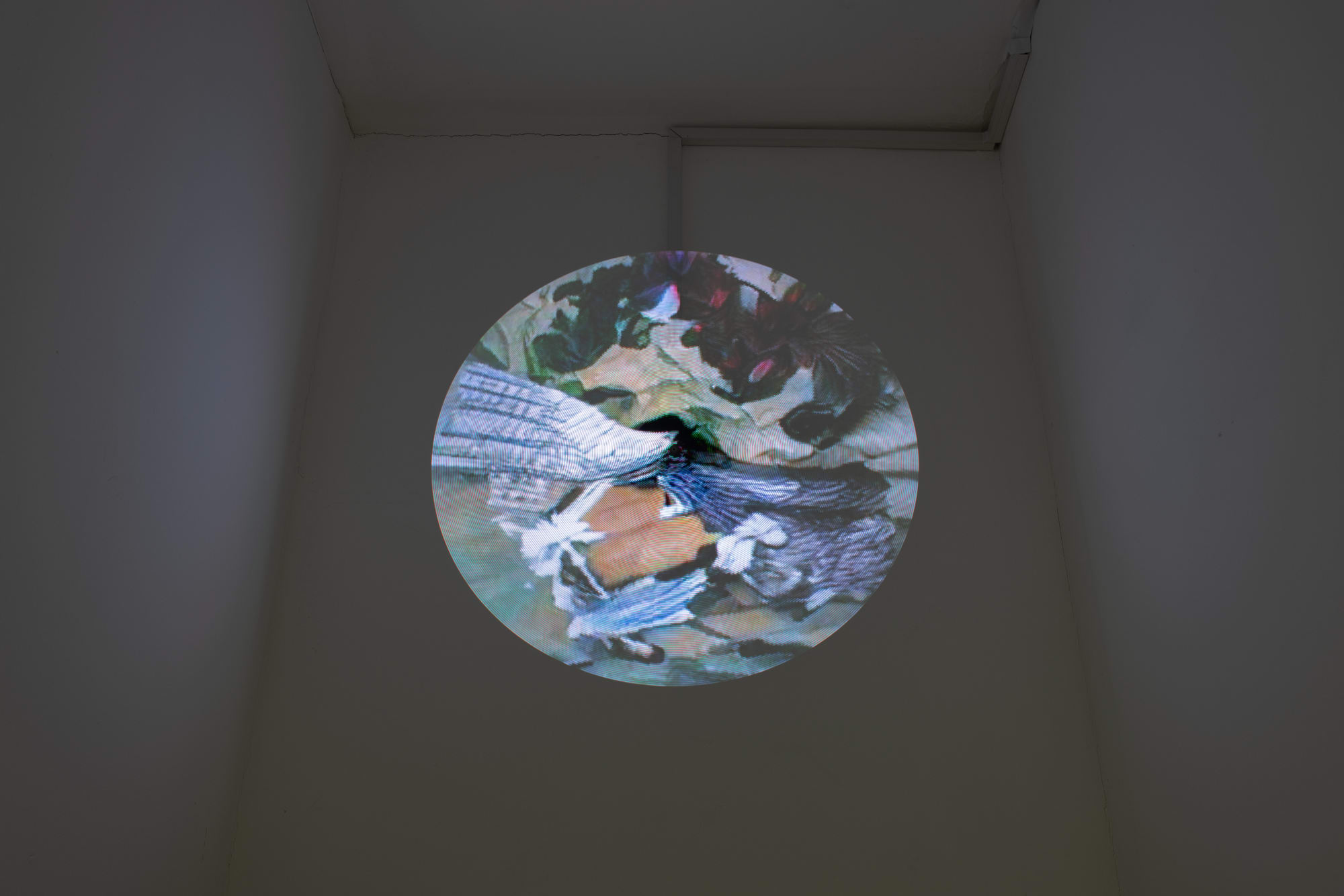 Dorota Gawęda and Eglė Kulbokaitė