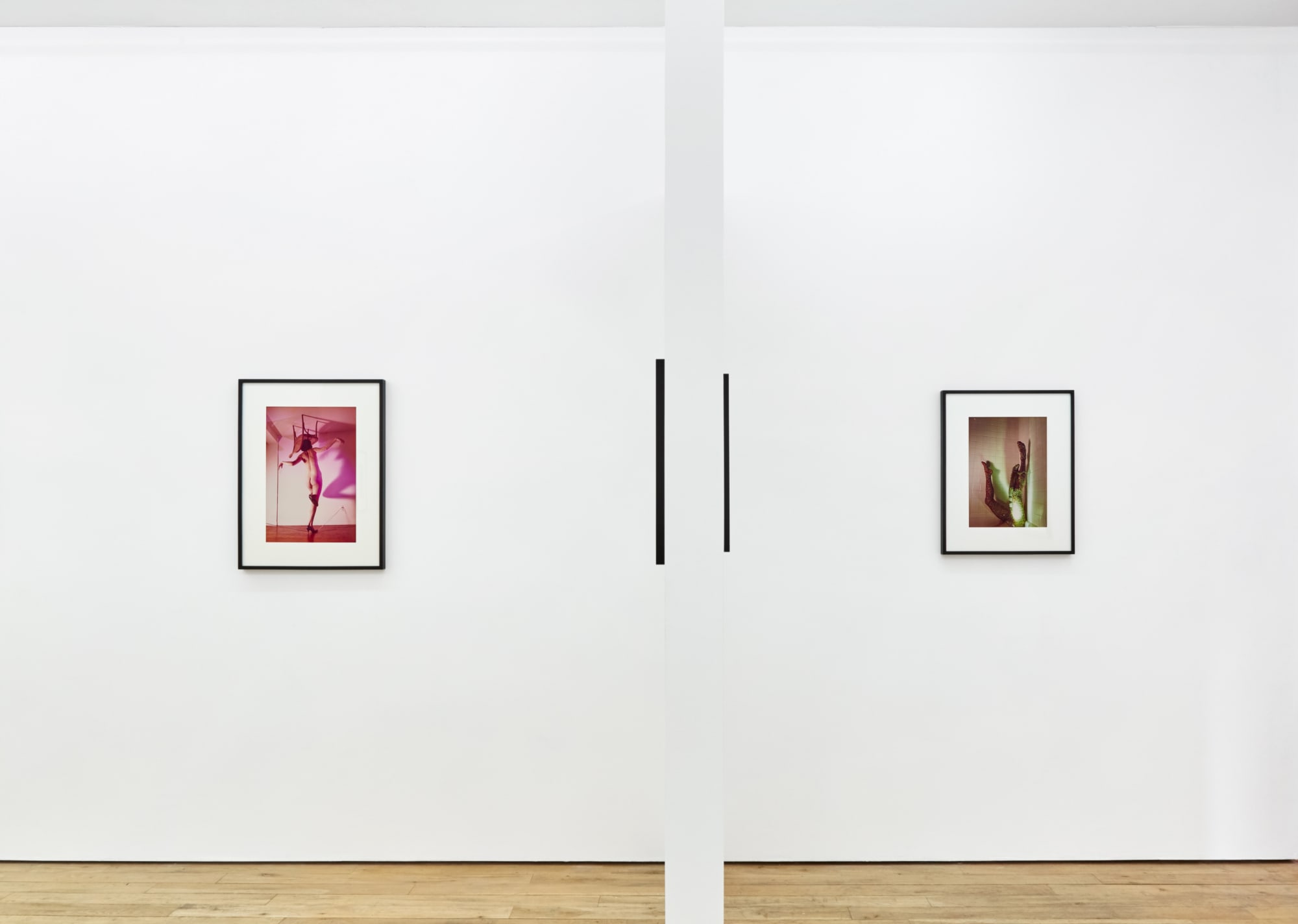 Jimmy DeSana and the Sex Appeal of the Inorganic