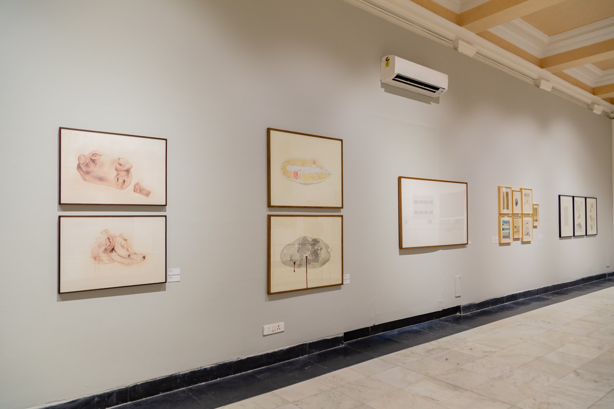 SIMULACRUM {Anant Art X DAW}