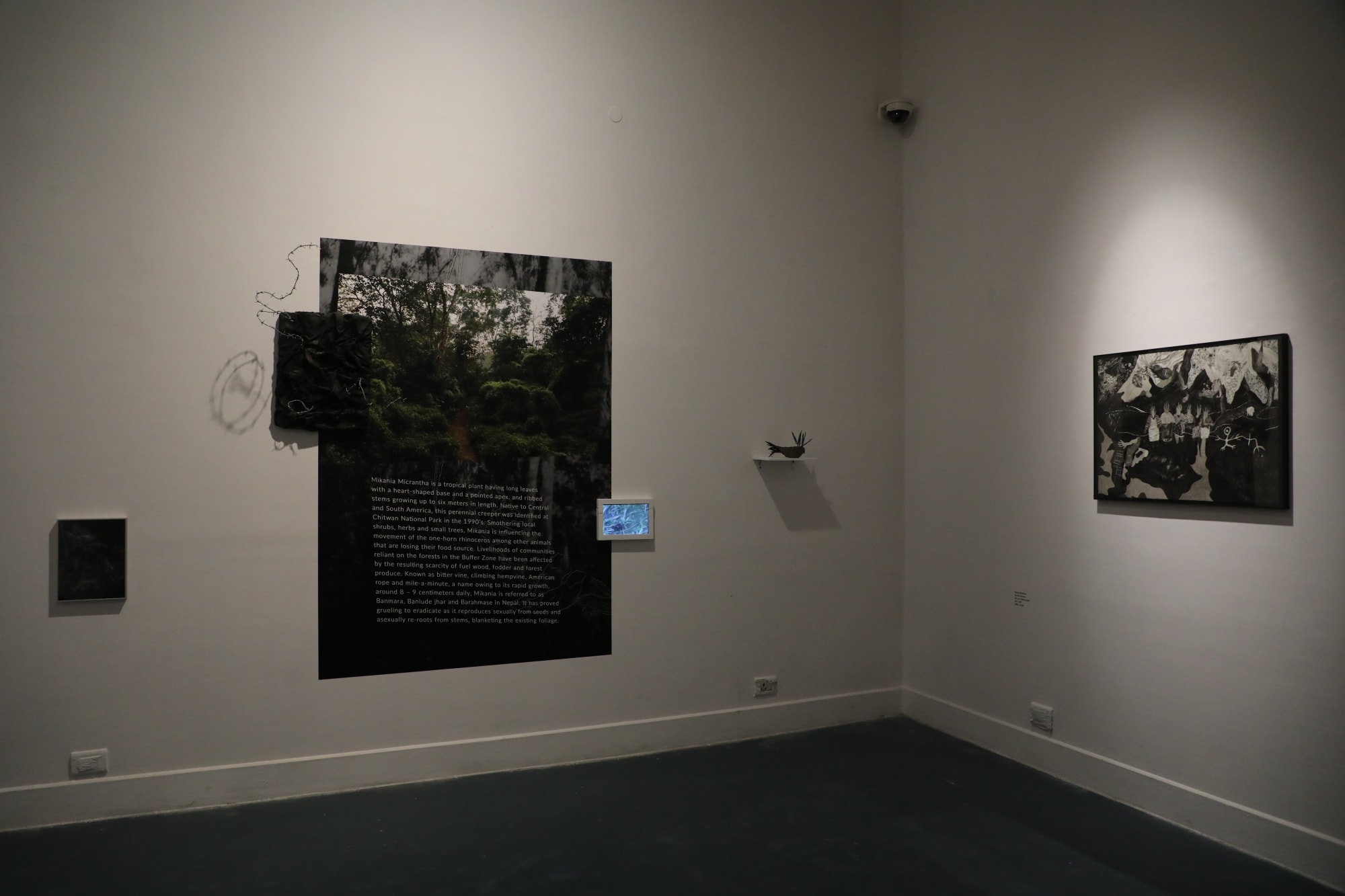 Our Conspiring Hosts: Of Rivers, Vines, and Microbes