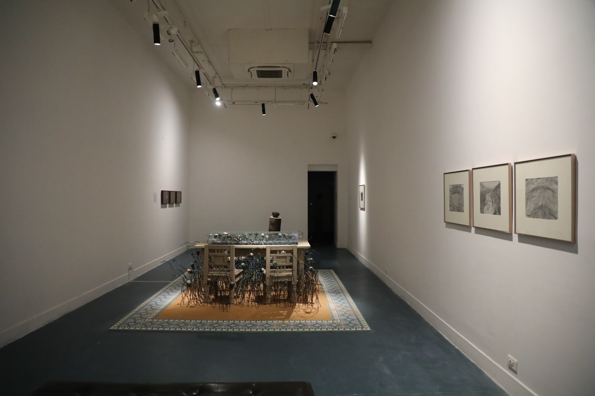 Our Conspiring Hosts: Of Rivers, Vines, and Microbes