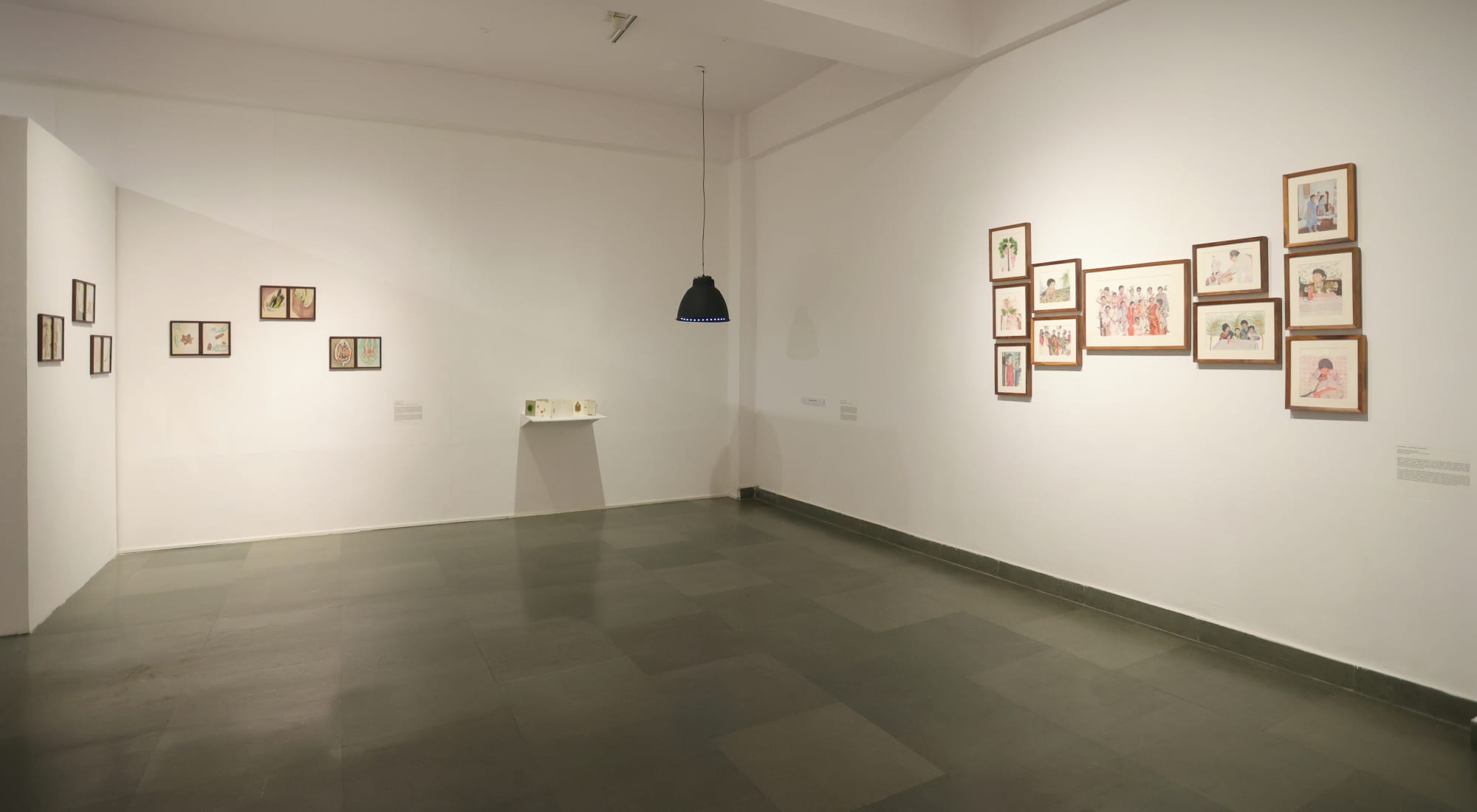 Mycelial Legacies IV