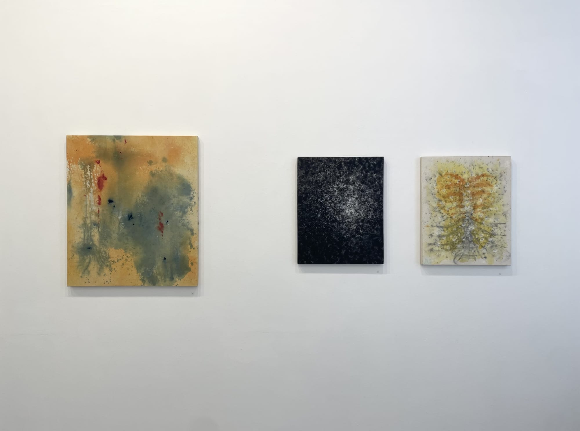 artist Jana Emburey Edinburgh