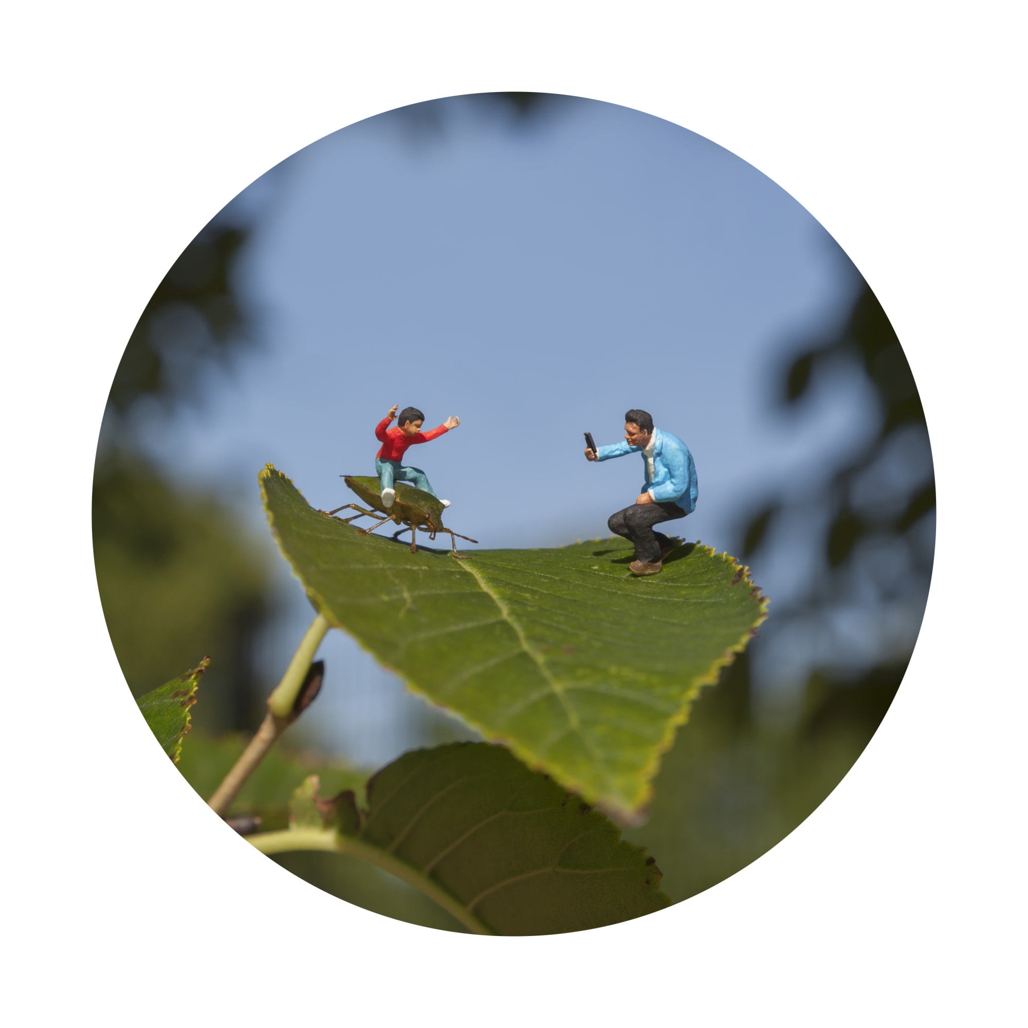 Slinkachu Back To Nature print (people on a leaf)