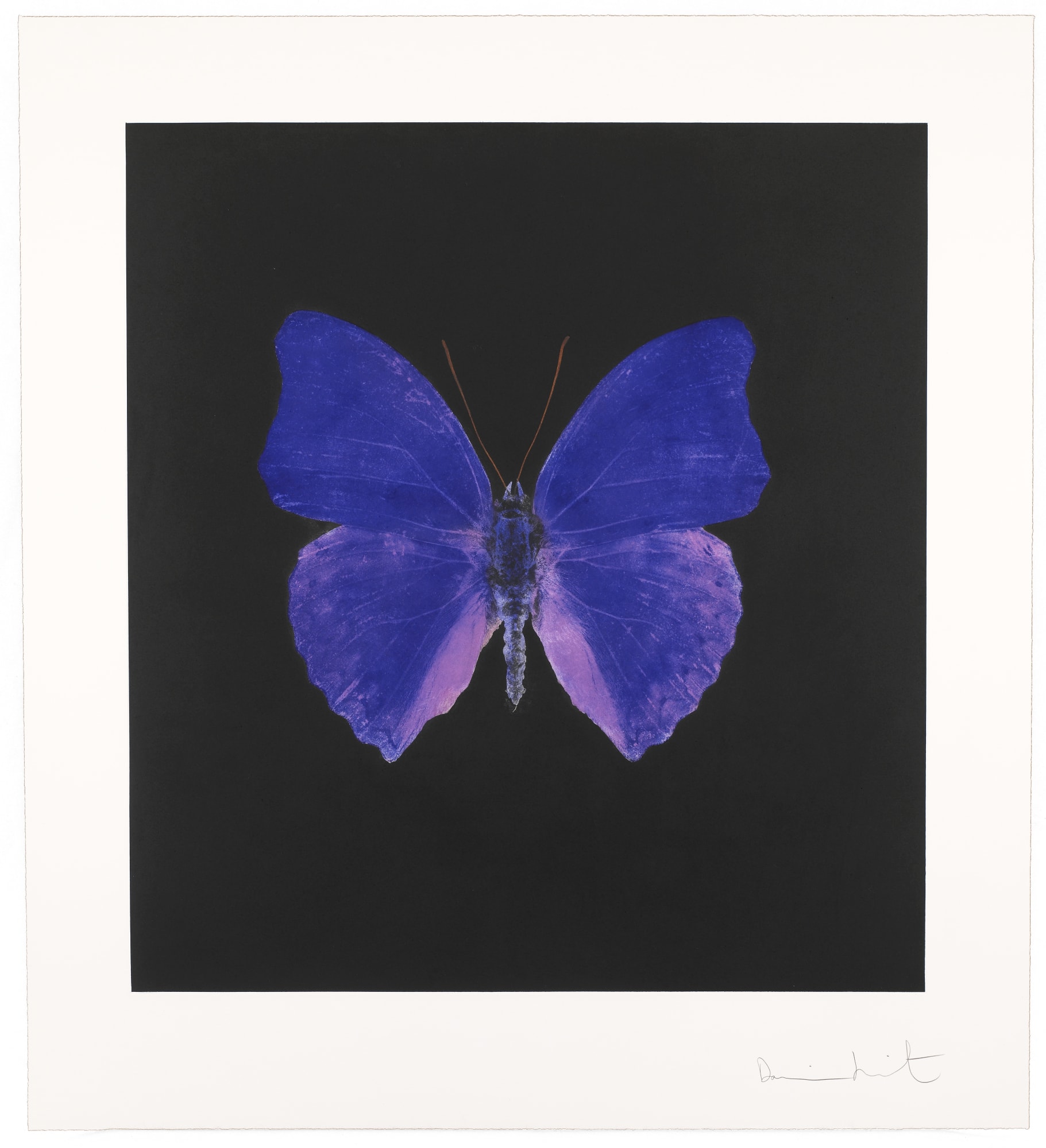 Damien Hirst Butterfly