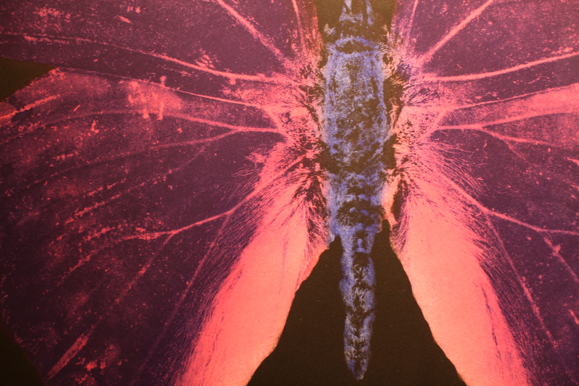 DAMIEN HIRST | paintings. drawings. prints.