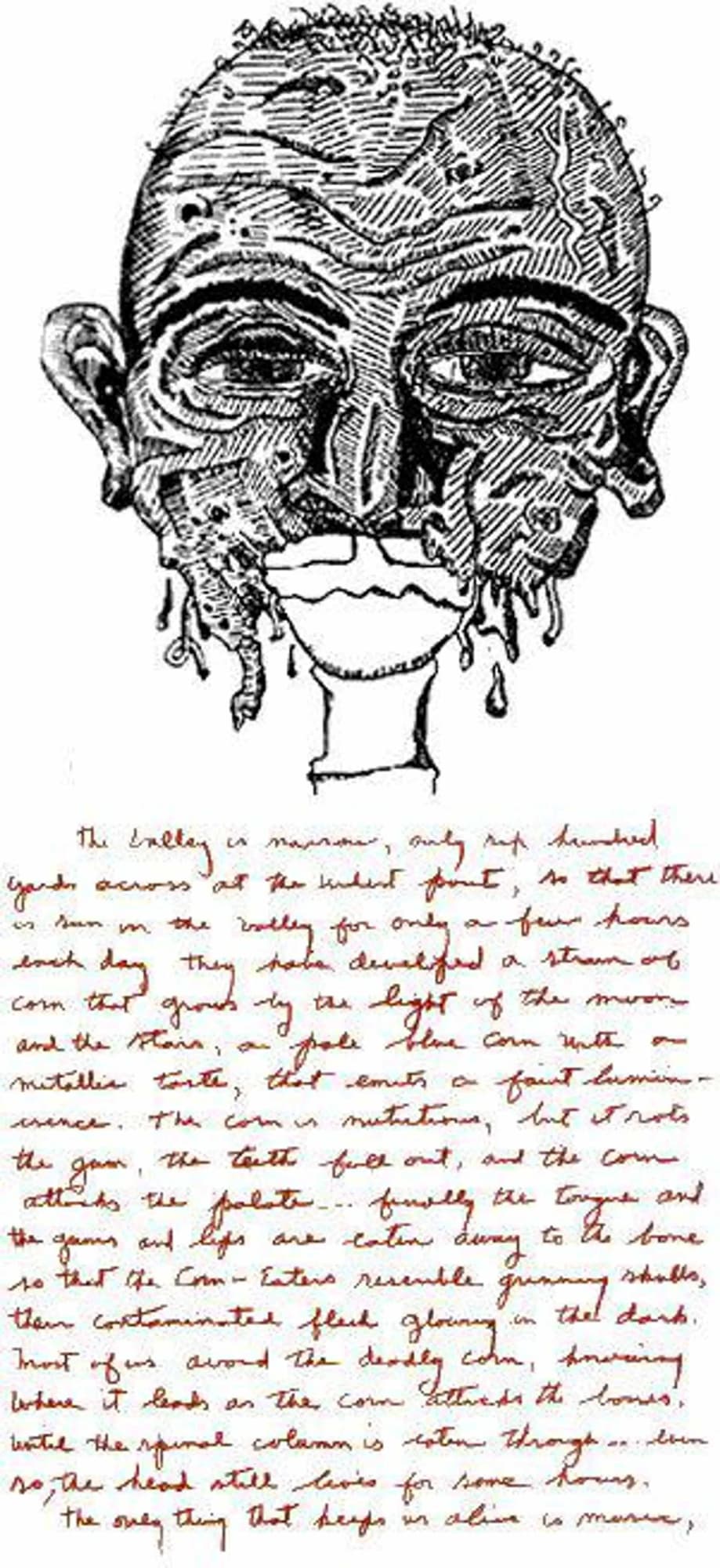 the valley plate five