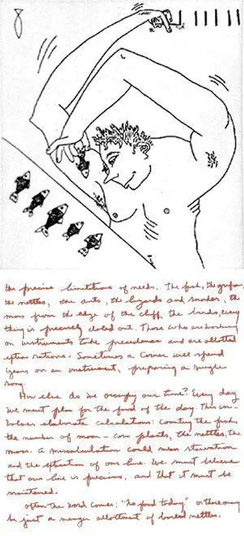 the valley plate seven