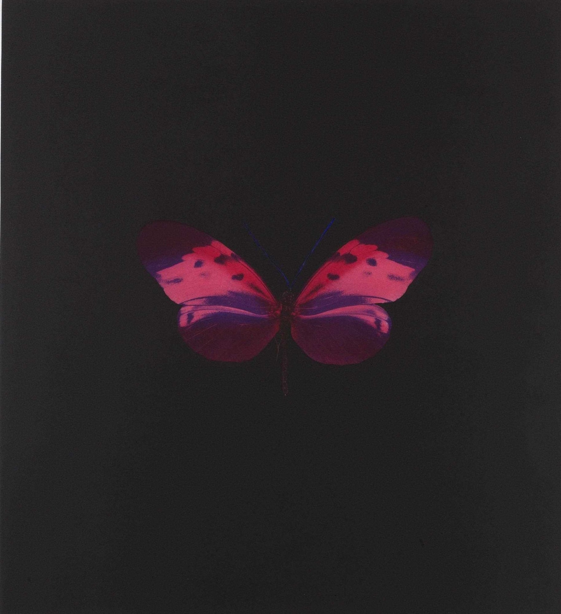 Damien Hirst Memento print for sale