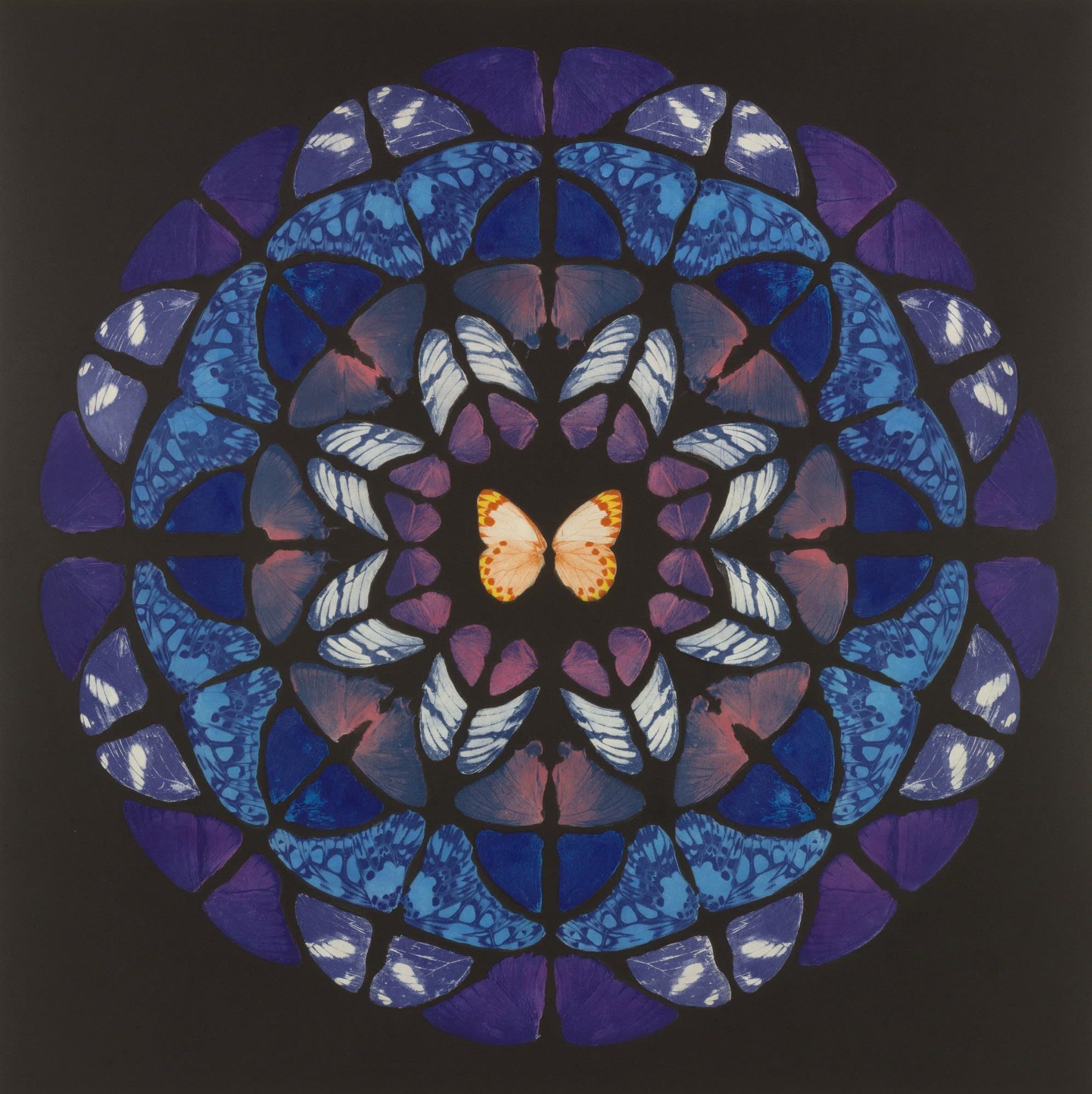 Damien Hirst sanctum print for sale