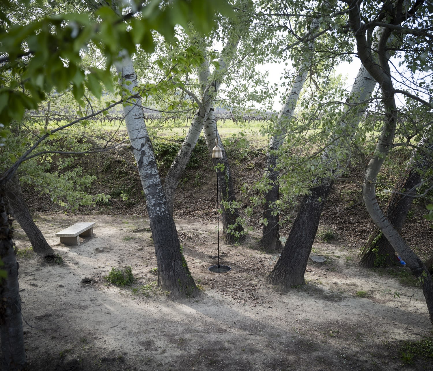 Sabine Mirlesse Par quatre chemins at Château La Coste, Aix-en-Provence, 2025
