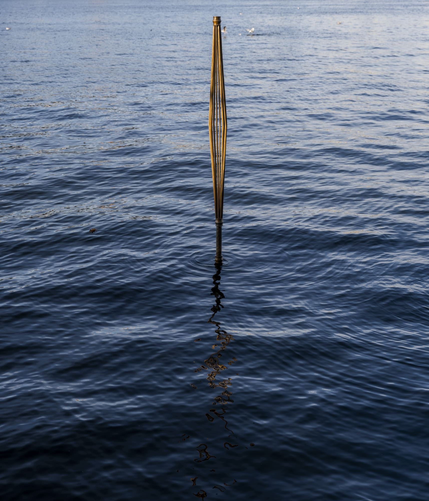 Sabine Mirlesse, Installation view, Ode to Measurement, Skeppsholmen, Stockholm, 2025