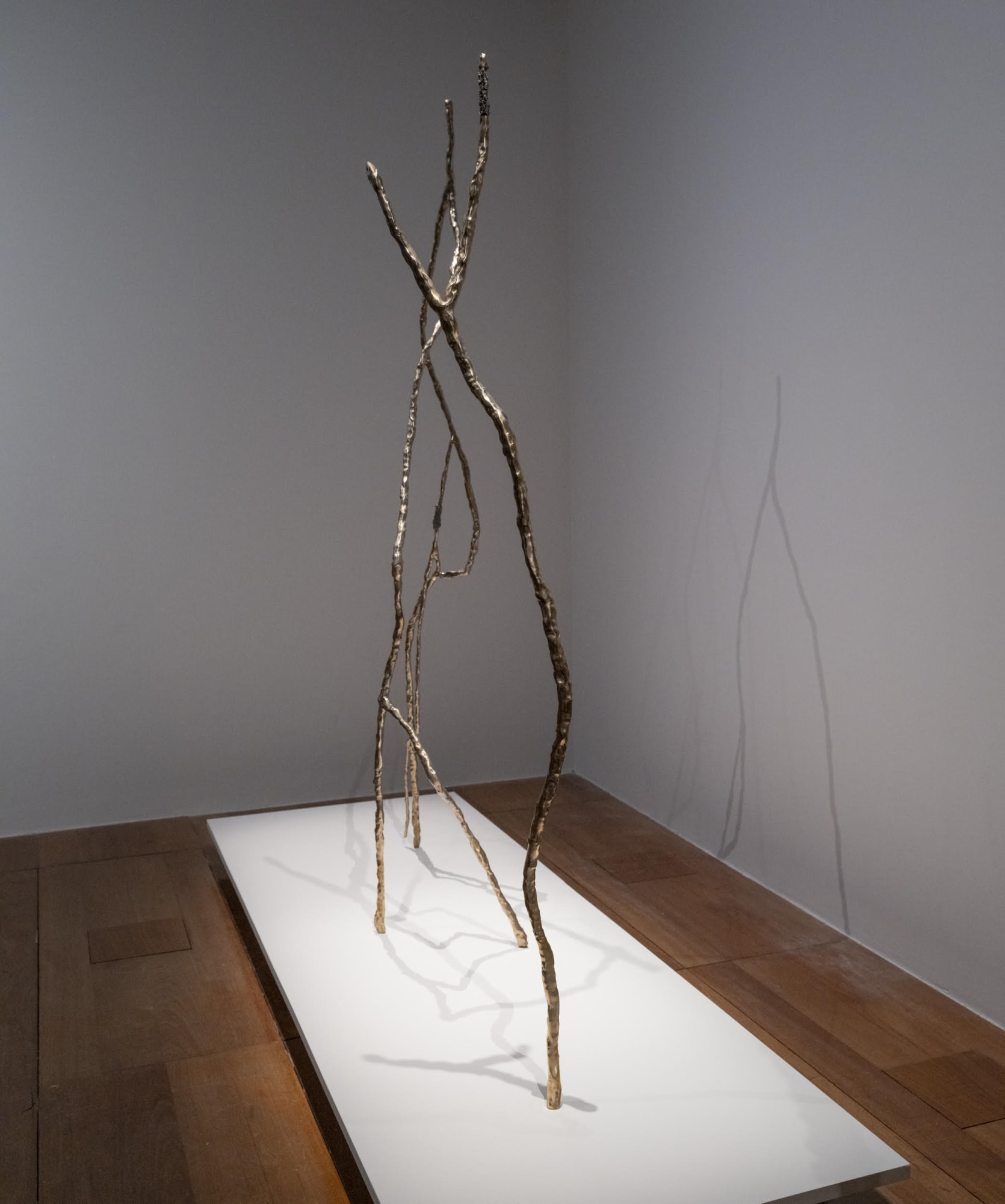 Sabine Mirlesse Apocalypse. Hier et Demain at Bibliothèque Nationale de France, 2025