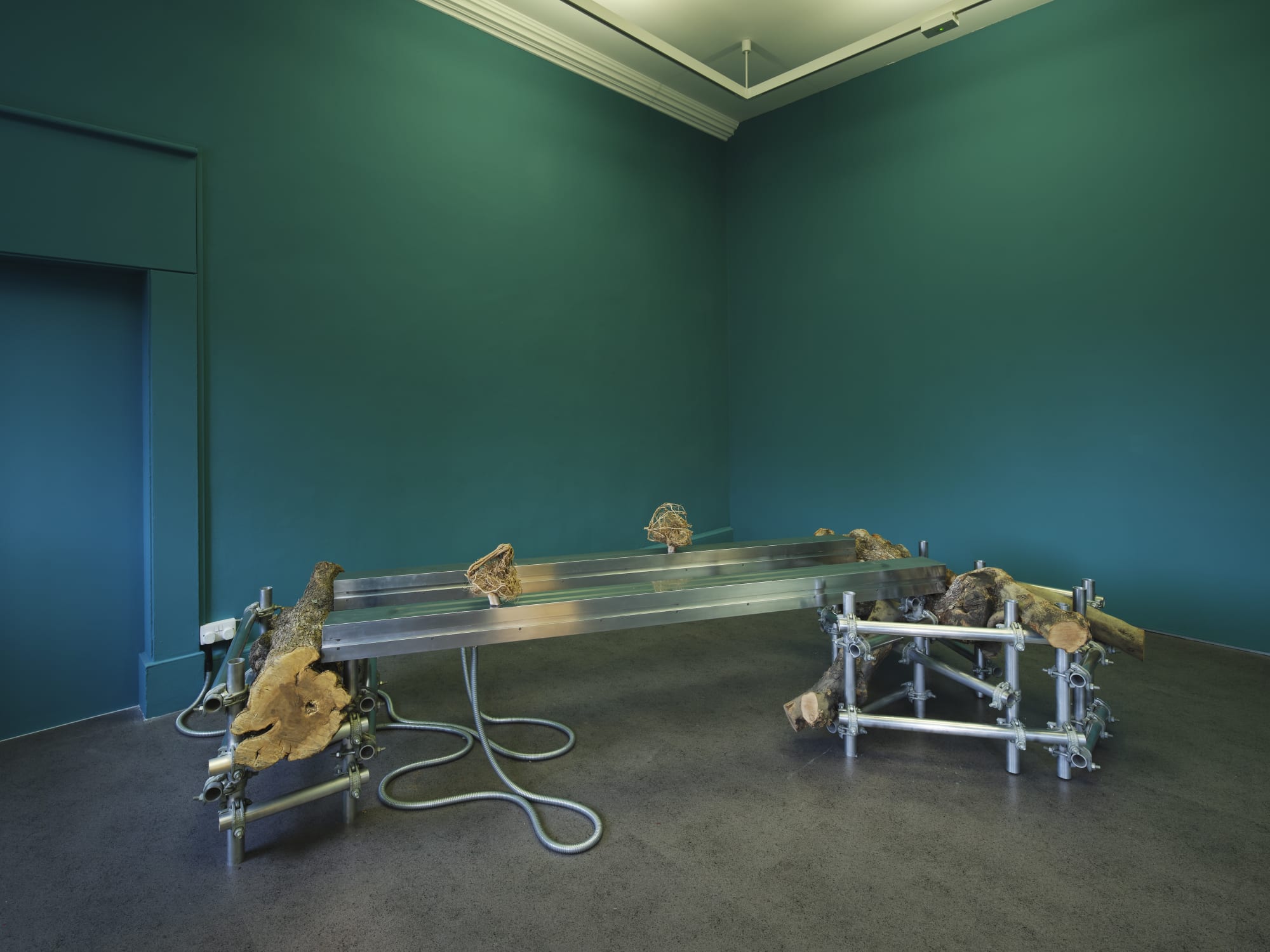 Siobhán Hapaska Installation view, IMMA Collection: Art as Agency, IMMA, 2025-2028