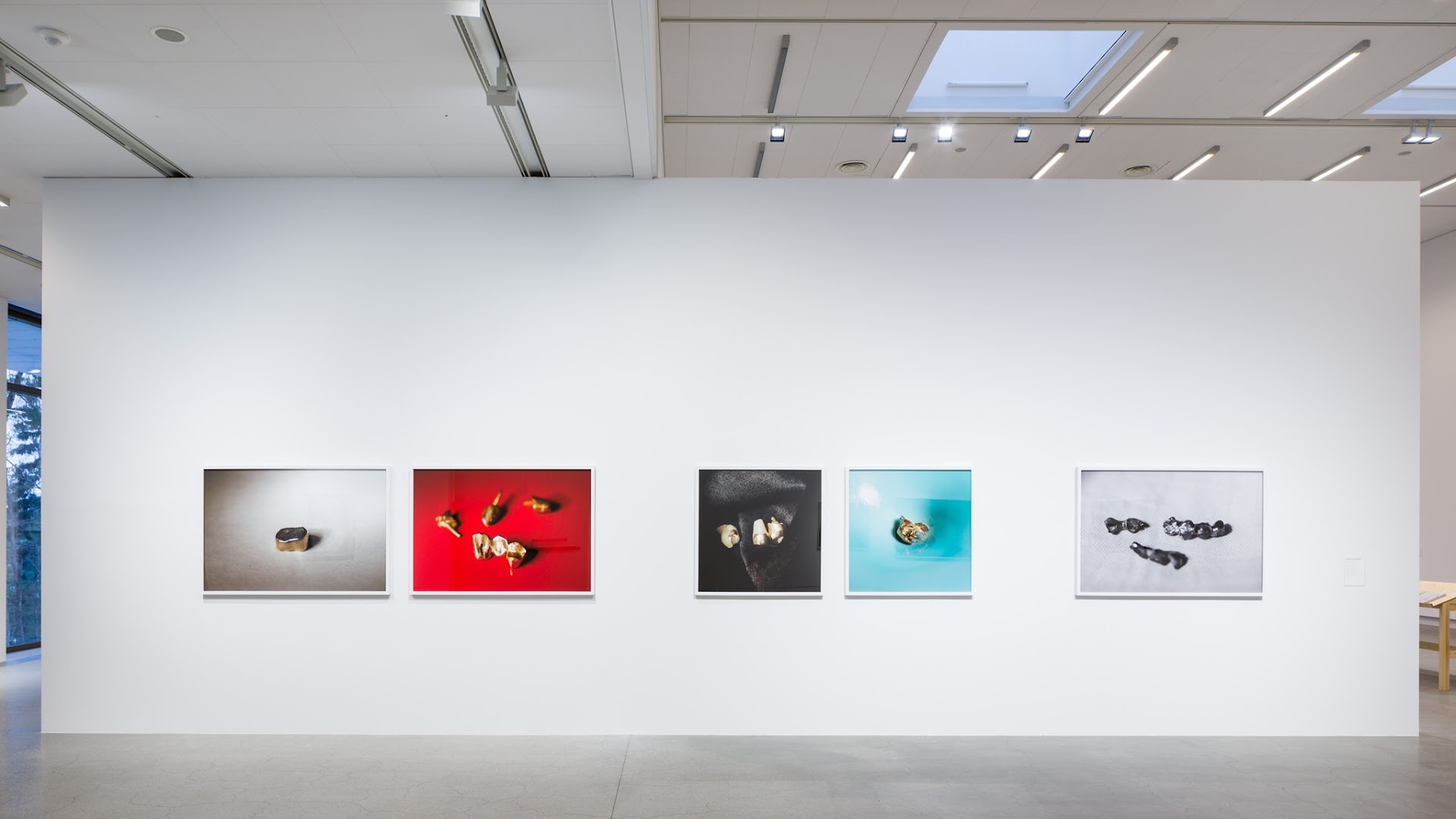 Annika Elisabeth von Hausswolff Installation view, ''The Visible - Contemporary Swedish Photography', Artipelag, Stockholm, 2014
