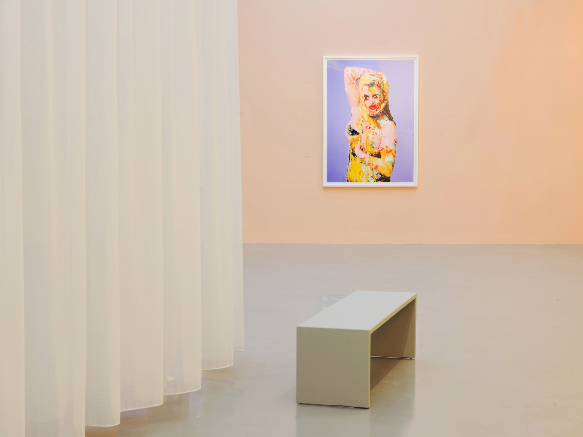 Linder, Installation View Femme/Objet, Musée d'Art Moderne de la Ville de Paris, France, 2013.