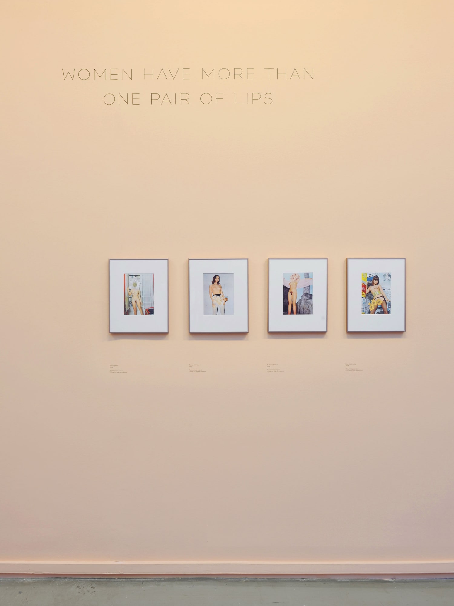 Linder, Installation View Femme/Objet, Musée d'Art Moderne de la Ville de Paris, France, 2013.