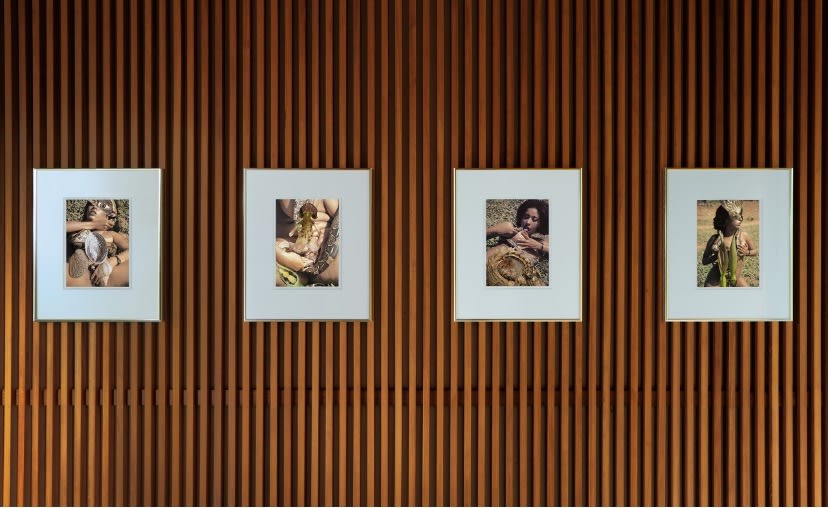 Linder, Installation View, American Gardens at Planet Earth LLC, 2020