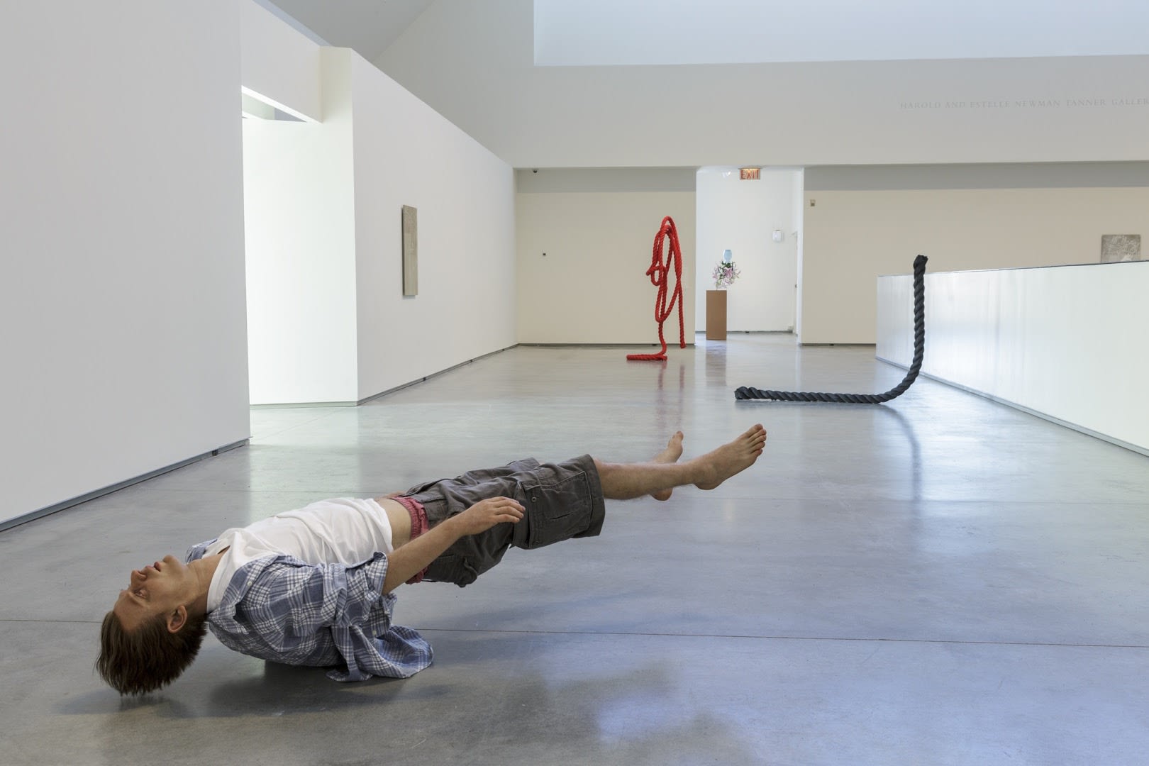 Tony Matelli Installation view "New Gravity", The Davis, Wellesley College, USA, 2014