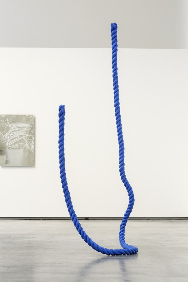 Tony Matelli Installation view "New Gravity", The Davis, Wellesley College, USA, 2014