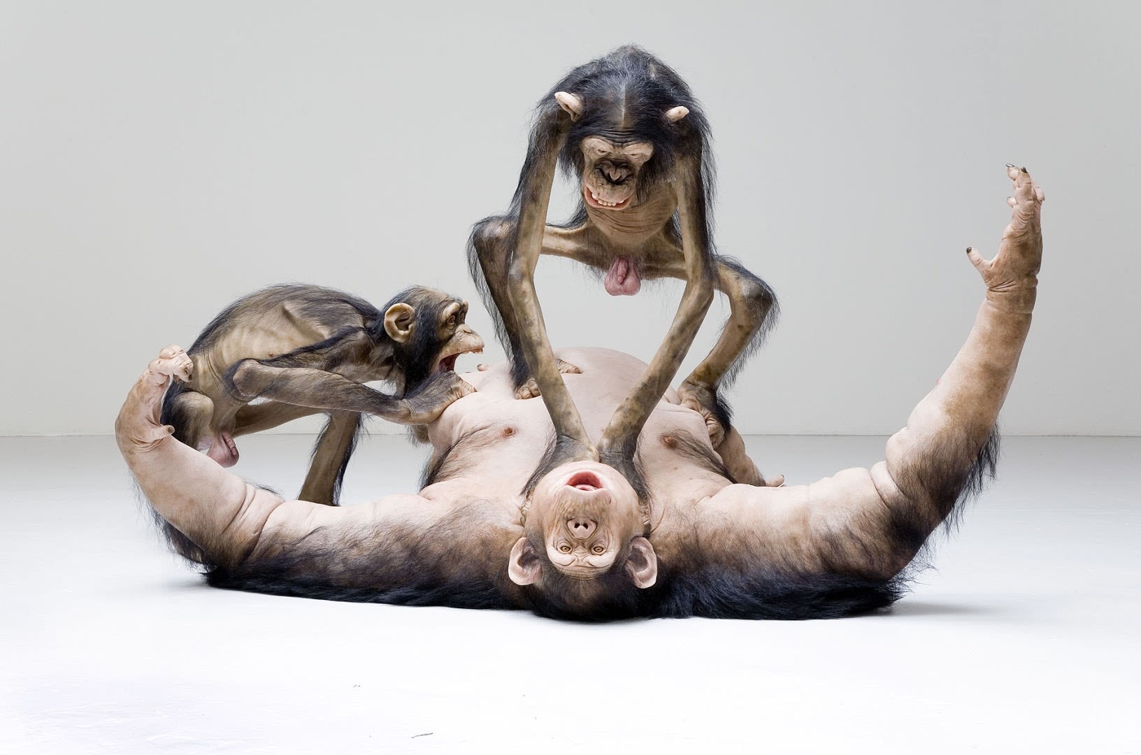 Tony Matelli Installation view Andréhn-Schiptjenko, Stockholm, Sweden, 2006