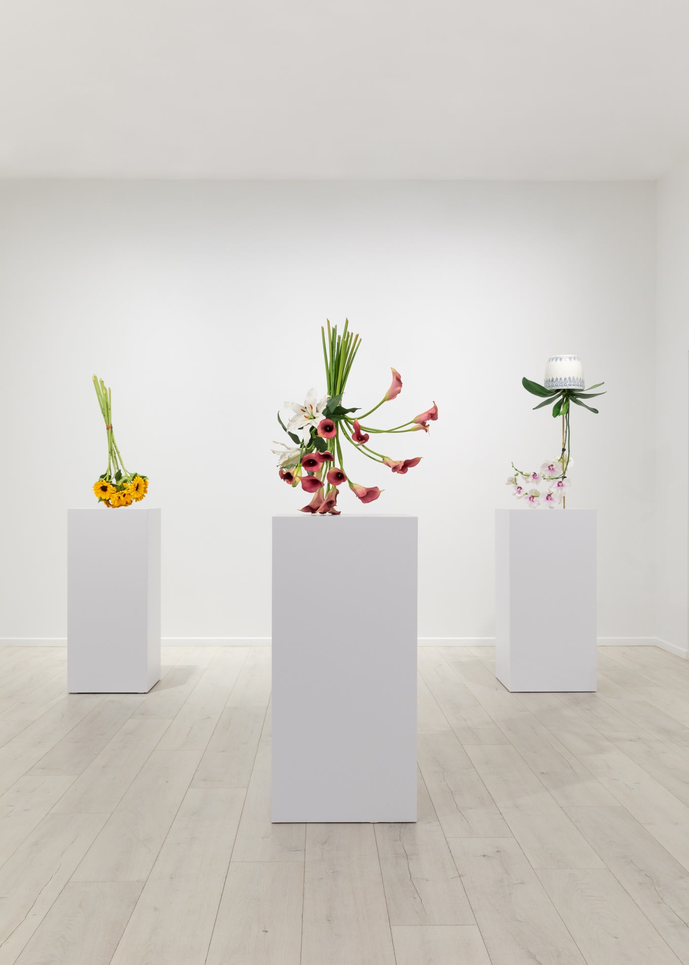 Tony Matelli Installation view, Displacement Map, Andréhn-Schiptjenko, Paris, France, 2023