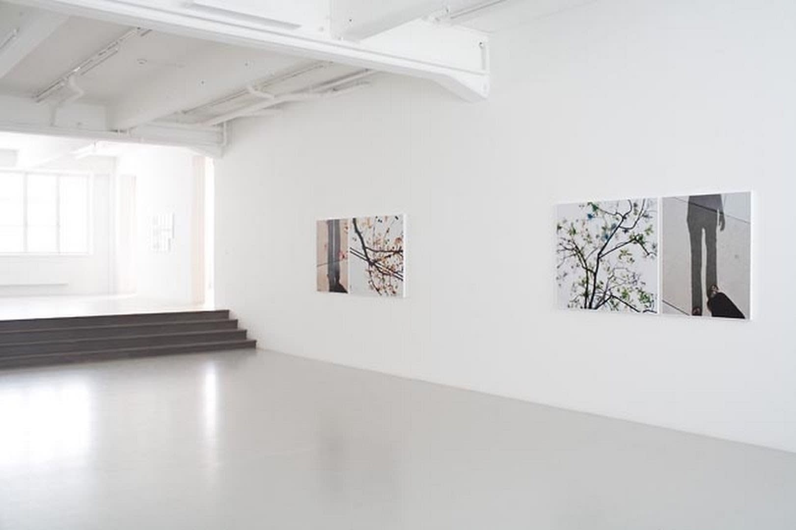 Uta Barth Installation view, ... to walk without destination and to see only to see, Andréhn-Schiptjenko, Stockholm, Sweden, 2010