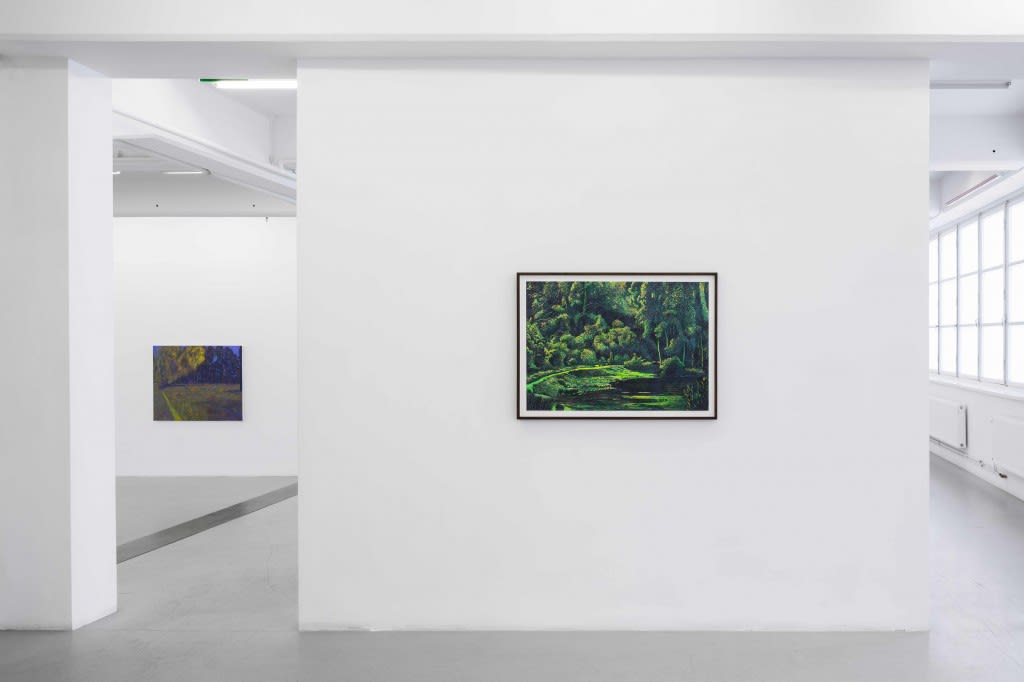 Martin Jacobson Installation view, Landscapes, Andréhn-Schiptjenko, Stockholm, Sweden, 2014