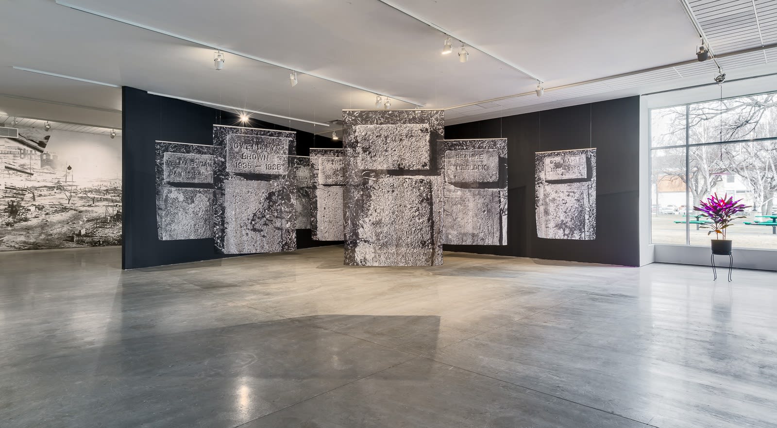 Santiago Mostyn Installation view, 'Grass Widows', Southern Alberta Art Gallery, Lethbridge, Canada, 2020