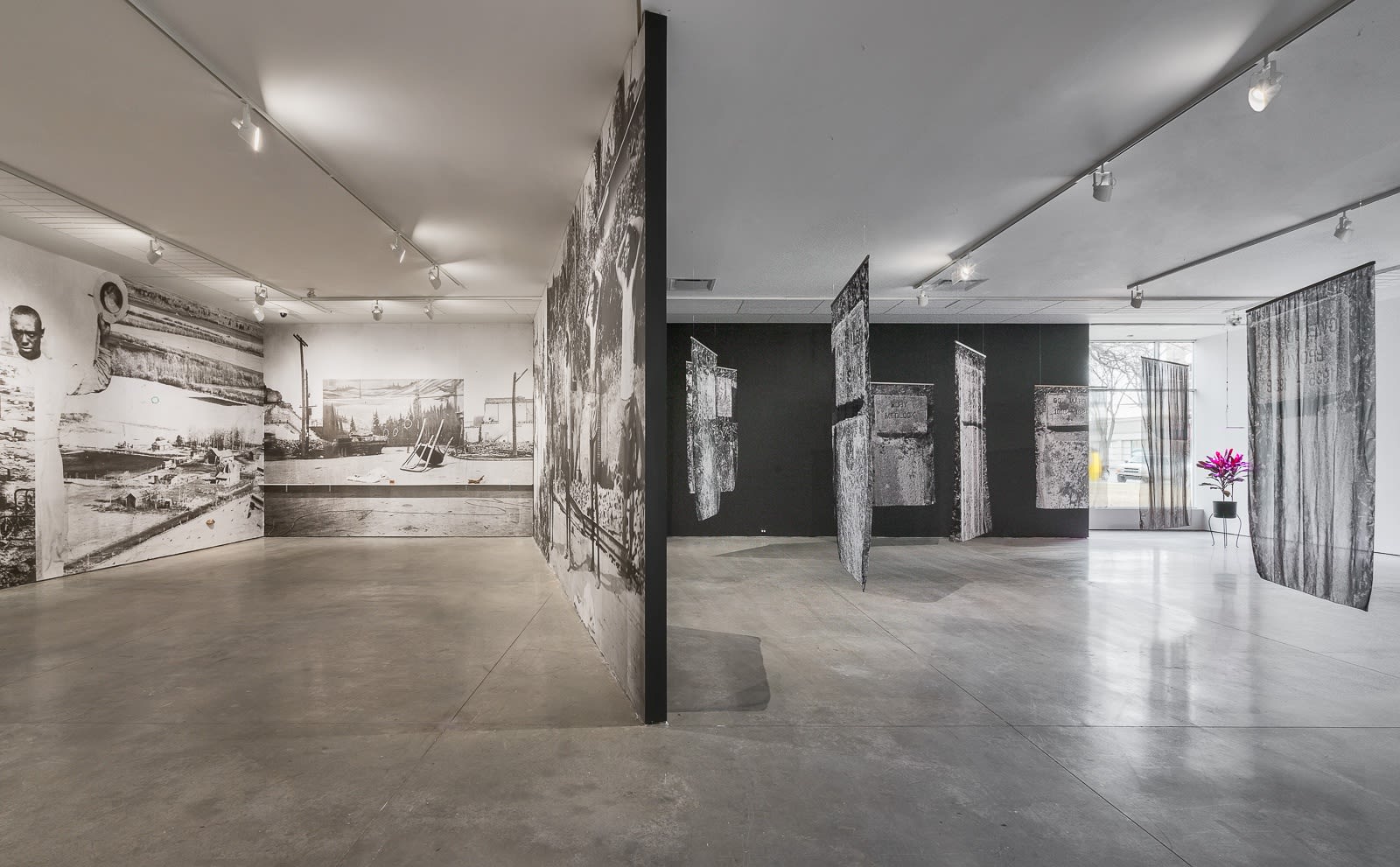 Santiago Mostyn Installation view, 'Grass Widows', Southern Alberta Art Gallery, Lethbridge, Canada, 2020