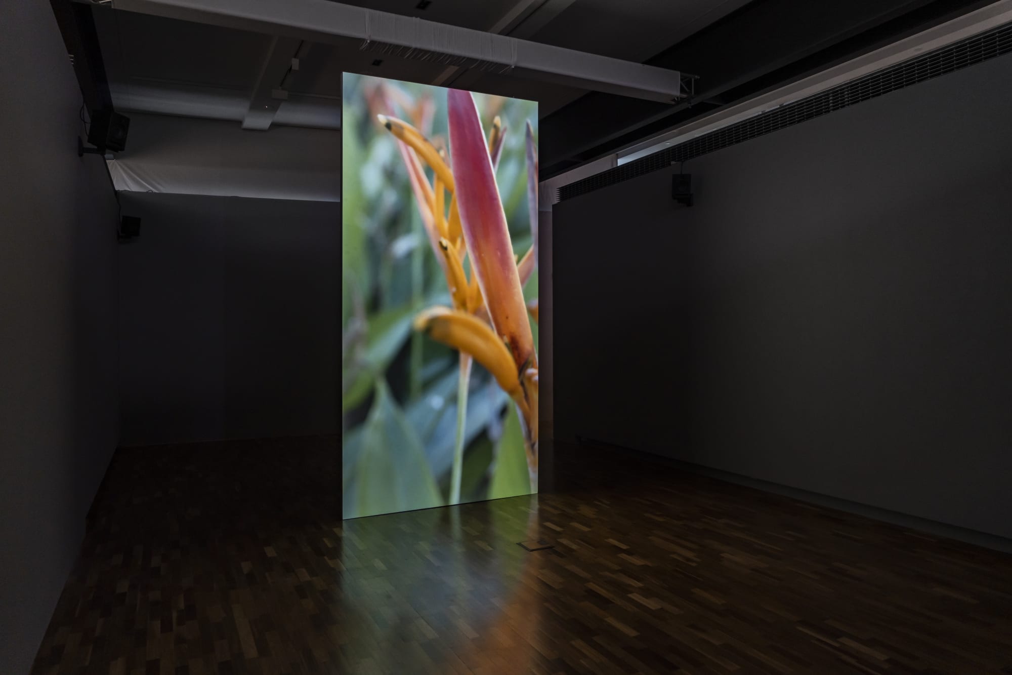 Santiago Mostyn Installation view, 'Mare Amoris | Sea of Love', UQ Art Museum, Brisbane, Australia, 2023