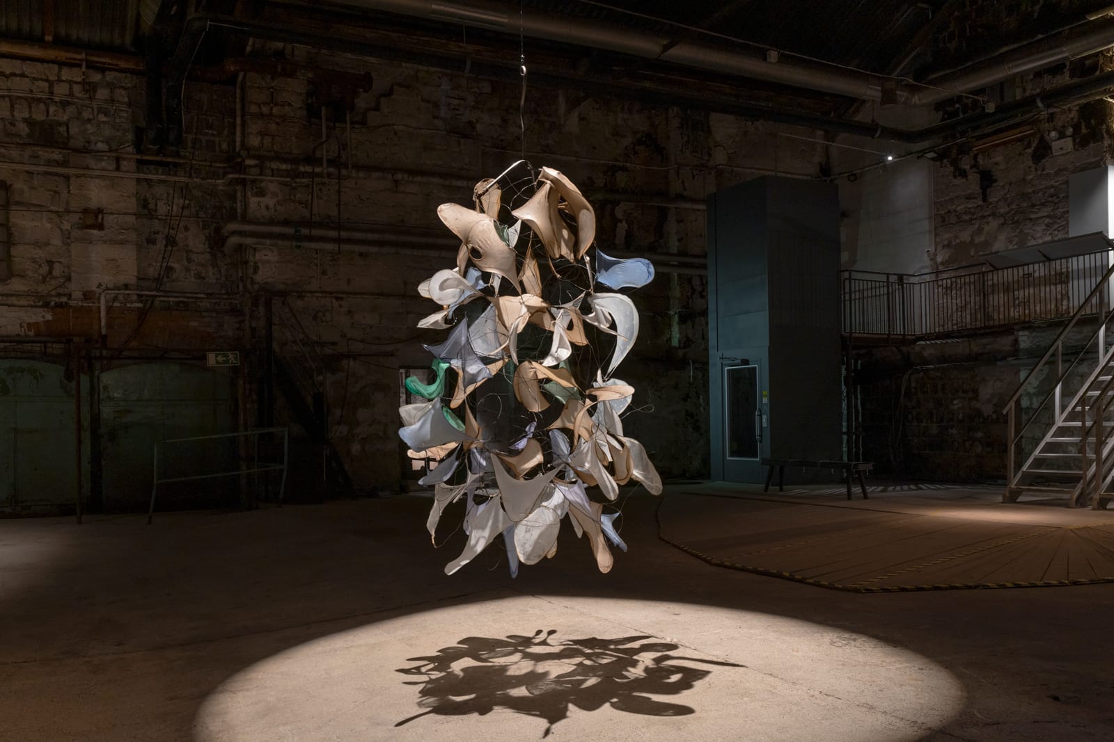 Carin Ellberg Installation view, Connected Species, Duo exhibition with Per Svensson, Avesta Art, Avesta, Sweden, 2025