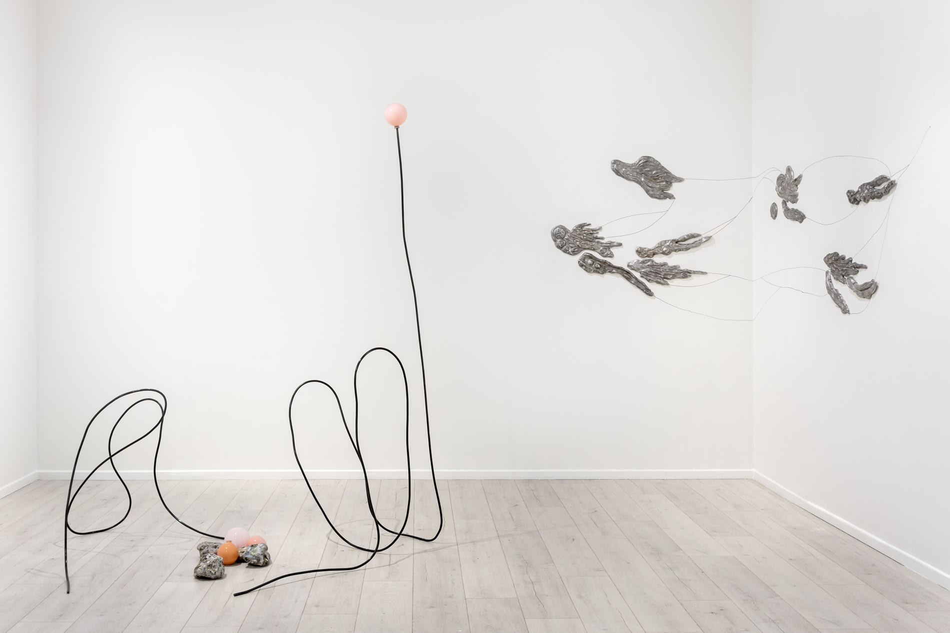 Carin Ellberg Installation view, Coastal settlers and species from the sea, Andréhn-Schiptjenko Paris, 2025.