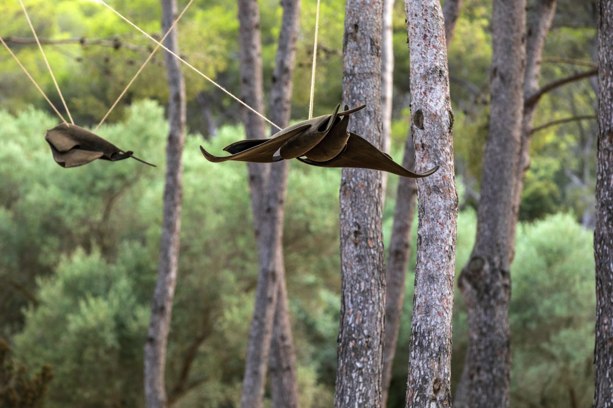 Martín Soto Climent Installation view, 'The Imaginary Sea', Villa Carmignac, Porquerolles island, France, 2021