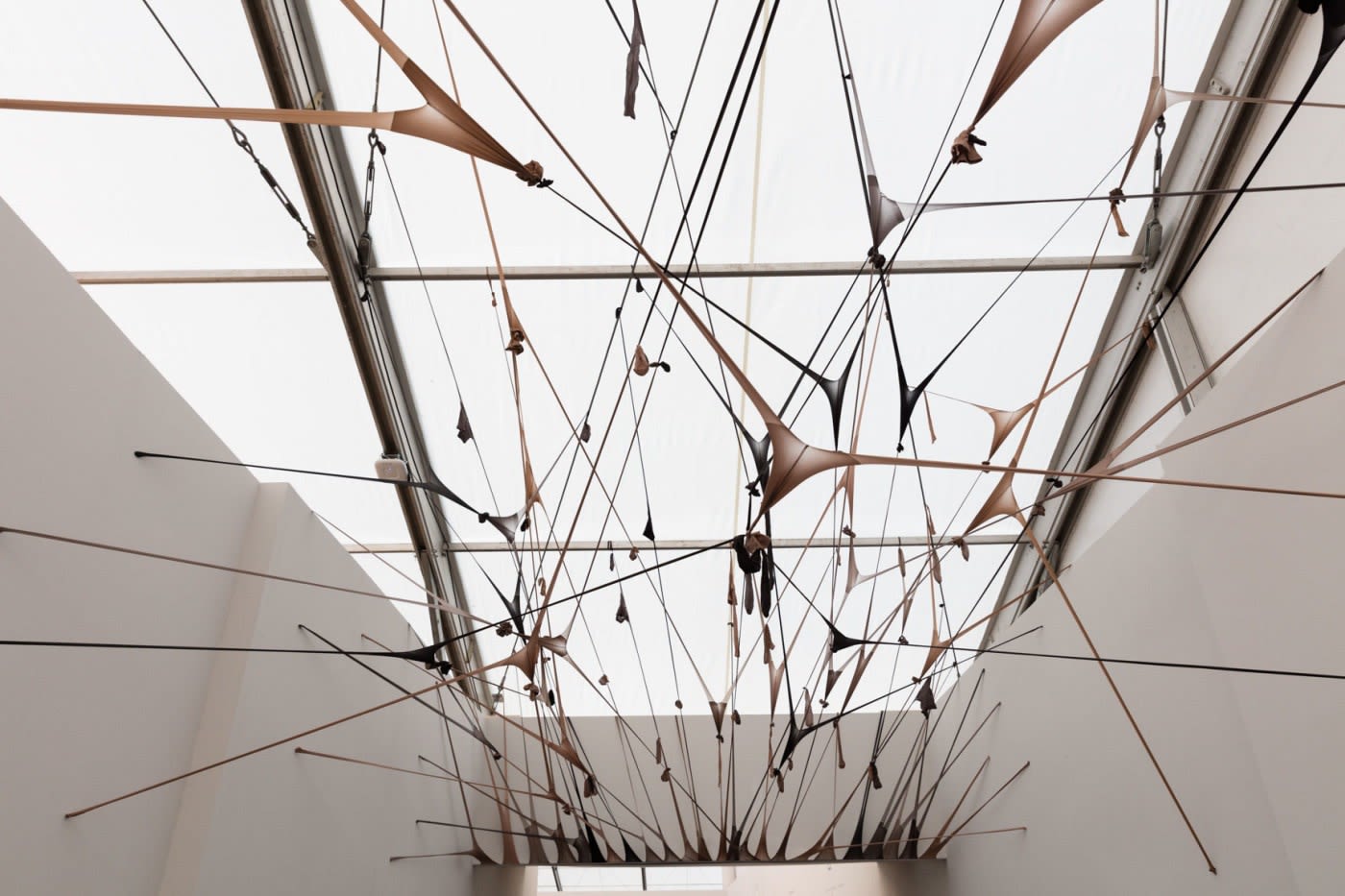 Martín Soto Climent Frenetic Gossamer, 2016 Frienze Projects, London, UK