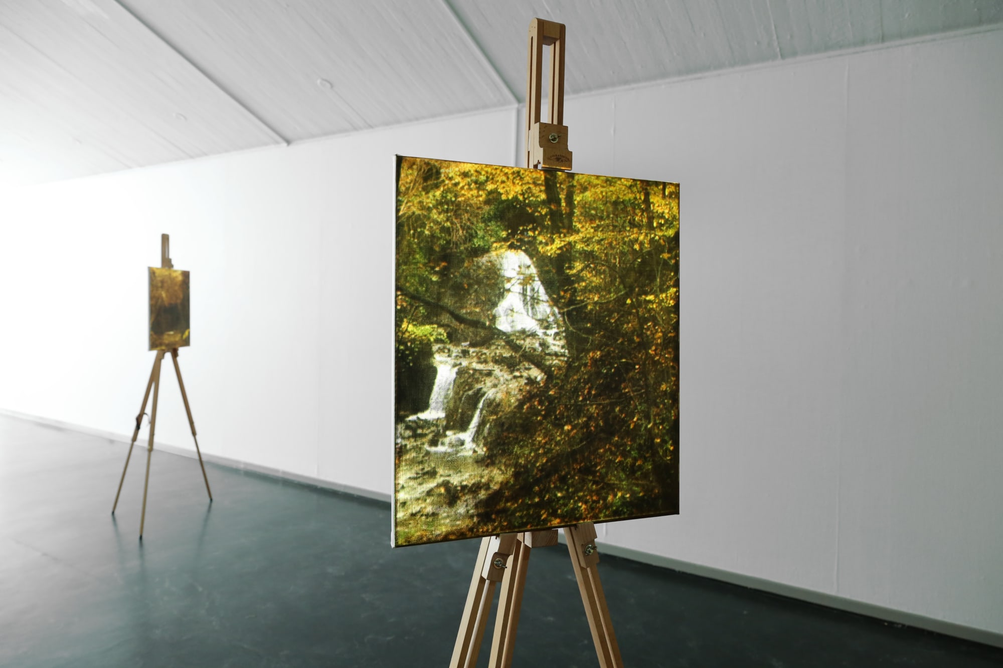 Matts Leiderstam Installation view 'Whither the Winds', Lunds konsthall, Lund, Sweden, 2017