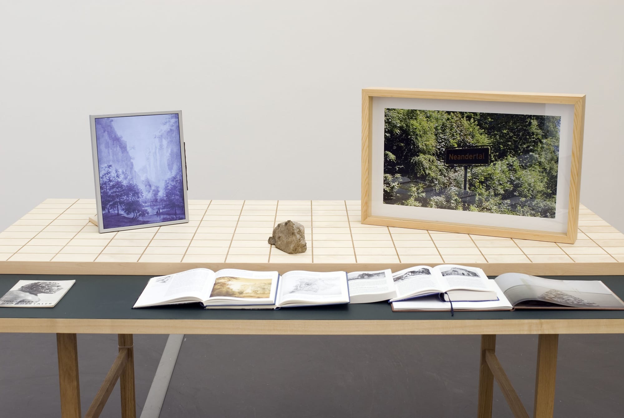 Matts Leiderstam Installation view, 'Neanderthal Landscape', Kunsthalle Düsseldorf, Düsseldorf, Germany, 2010