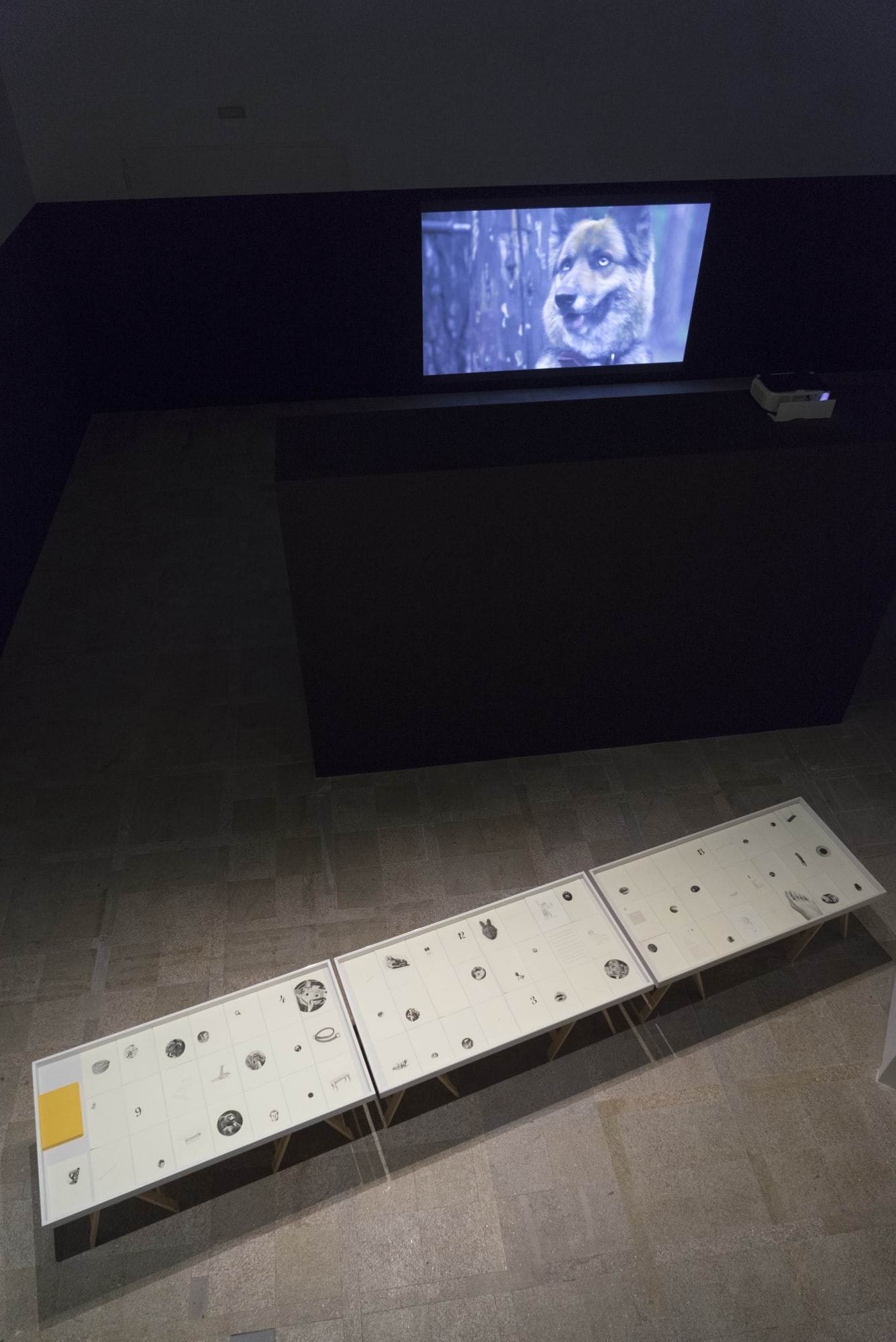 Annika Larsson Installation view, 'MARCO' at Museo de Arte Contemporánea de Vigo, Vigo, Spain, 2014
