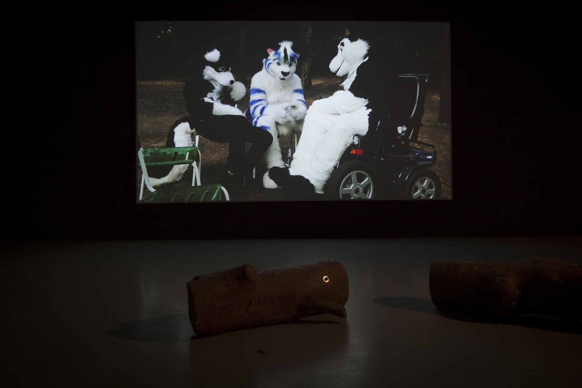 Annika Larsson Installation view, 'ANIMAL' at Andréhn-Schiptjenko, Stockholm, Sweden, 2012