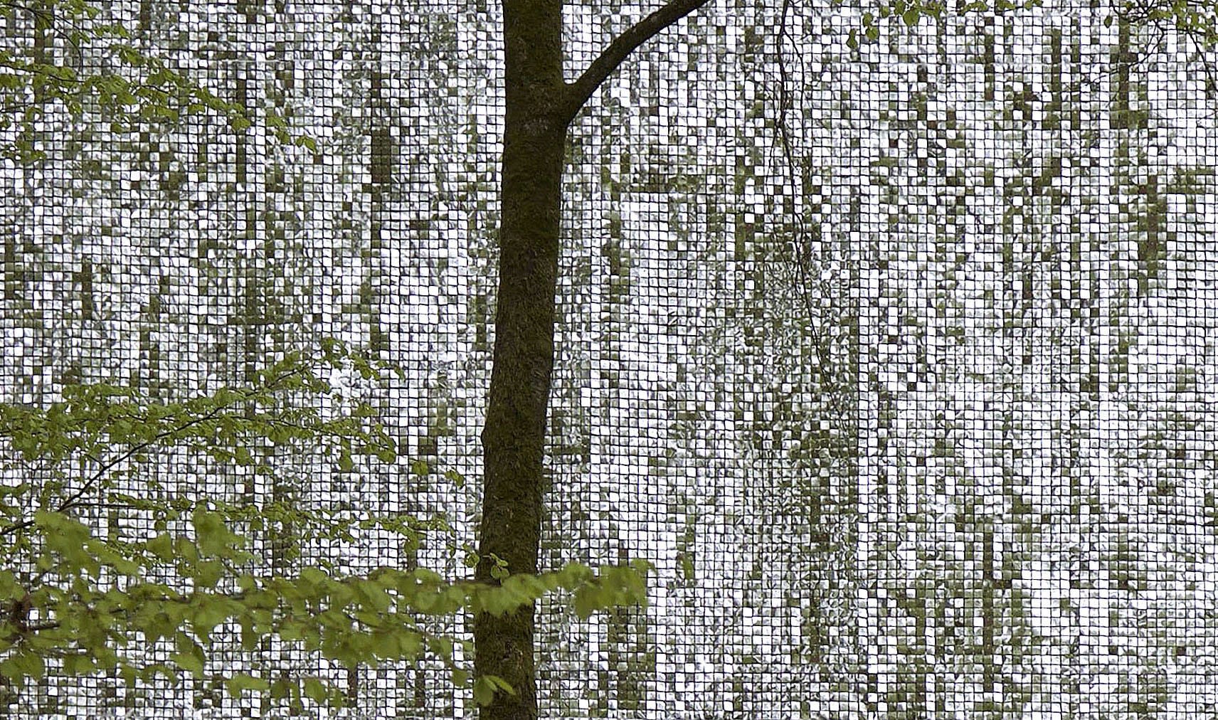 Katarina Löfström Installation view, Wanås Konst, Knisslinge, Sweden, 2018