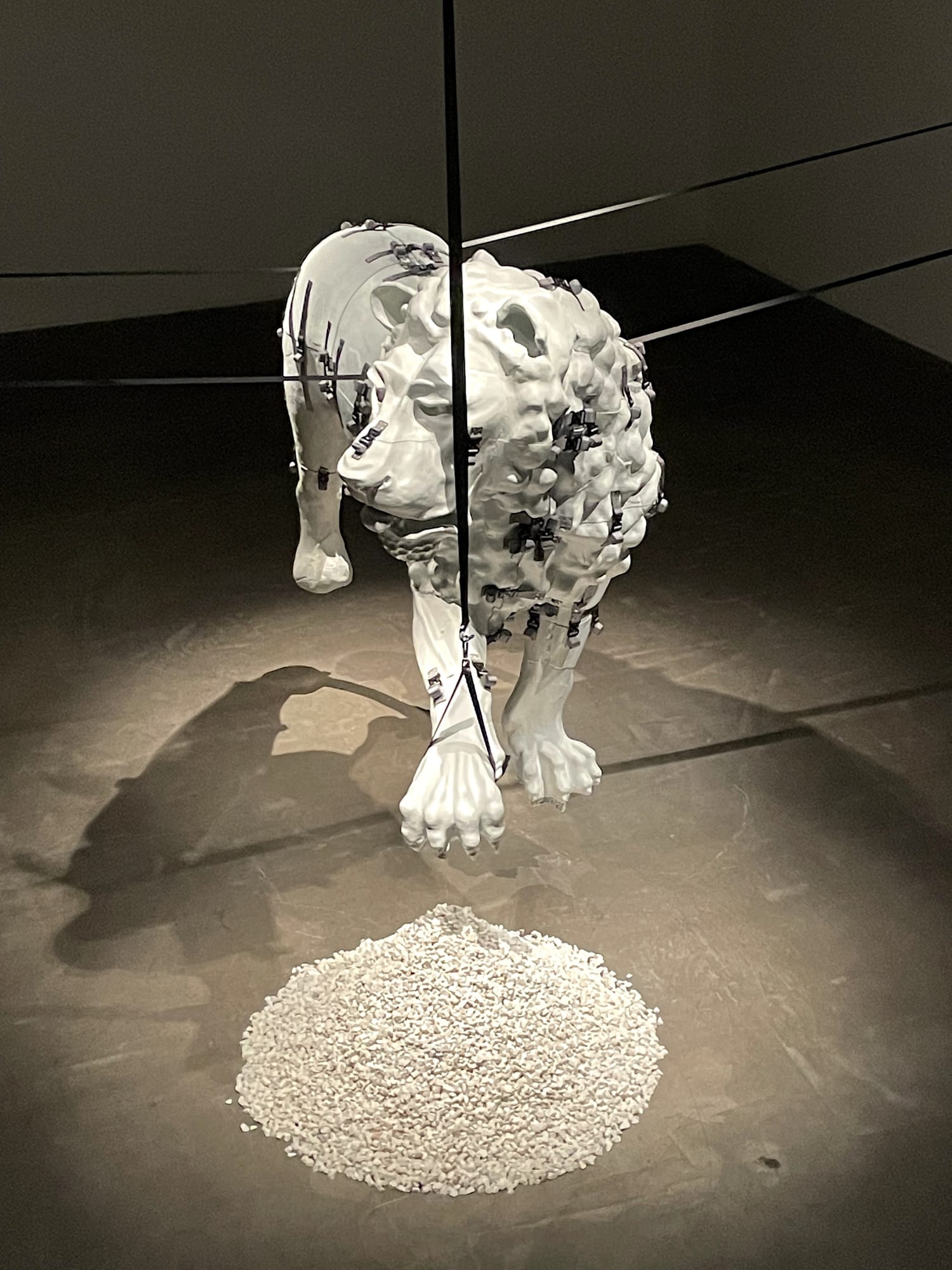 Installation view, Siobhán Hapaska, Medici Lion, The Douglas Hyde Gallery, Dublin, Ireland