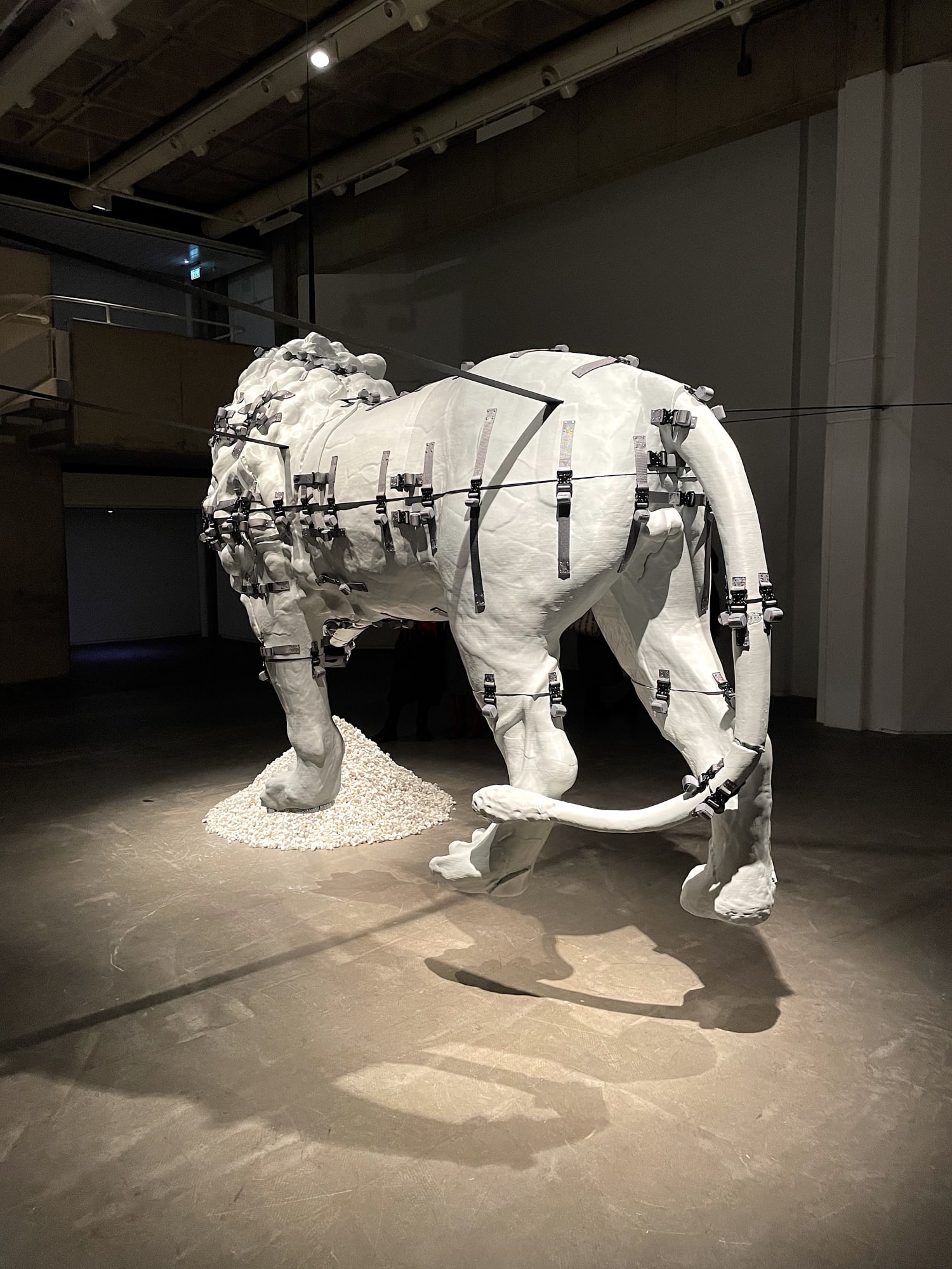 Installation view, Siobhán Hapaska, Medici Lion, The Douglas Hyde Gallery, Dublin, Ireland